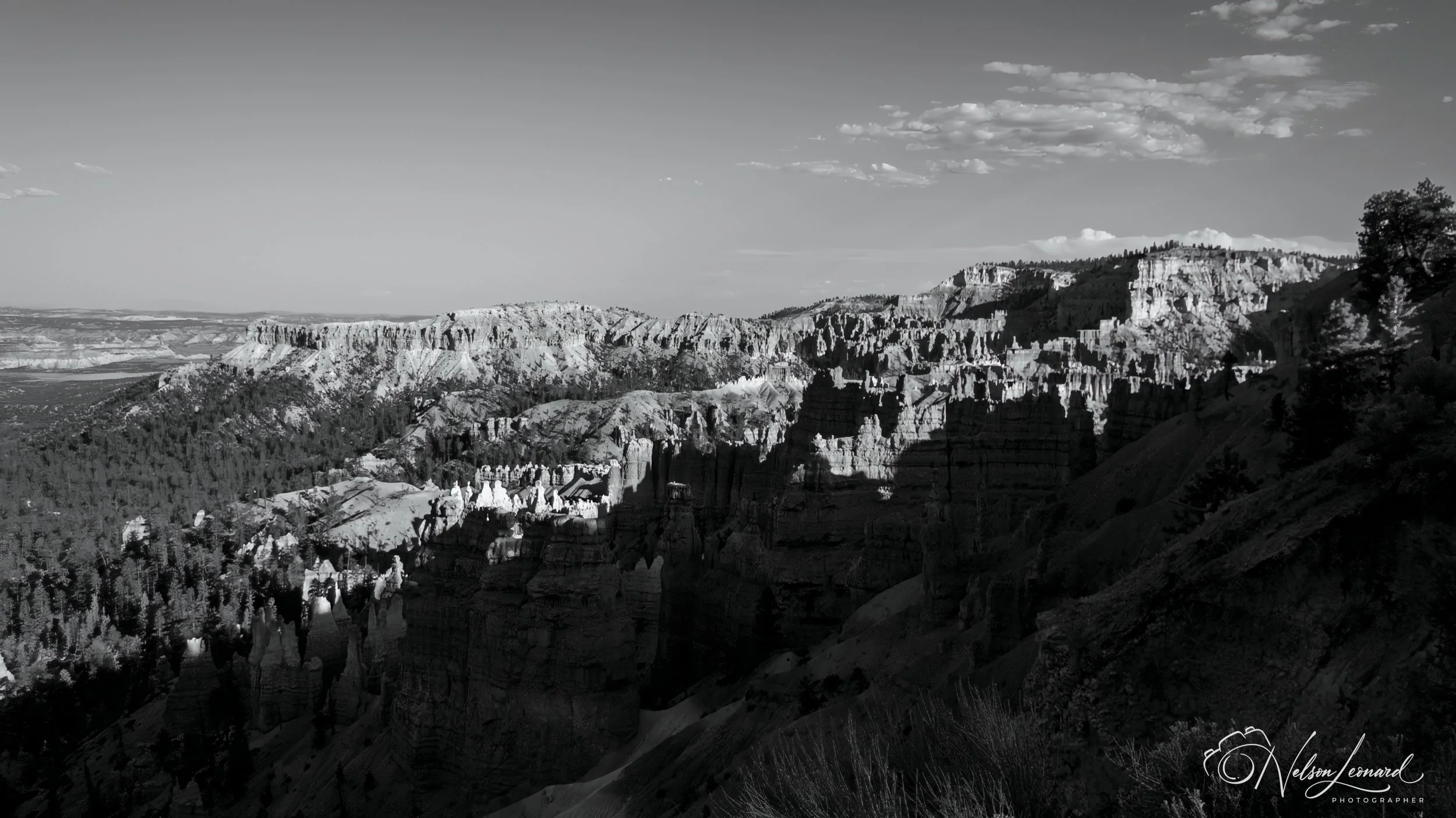 Bryce Canyon Infrared-129.jpg