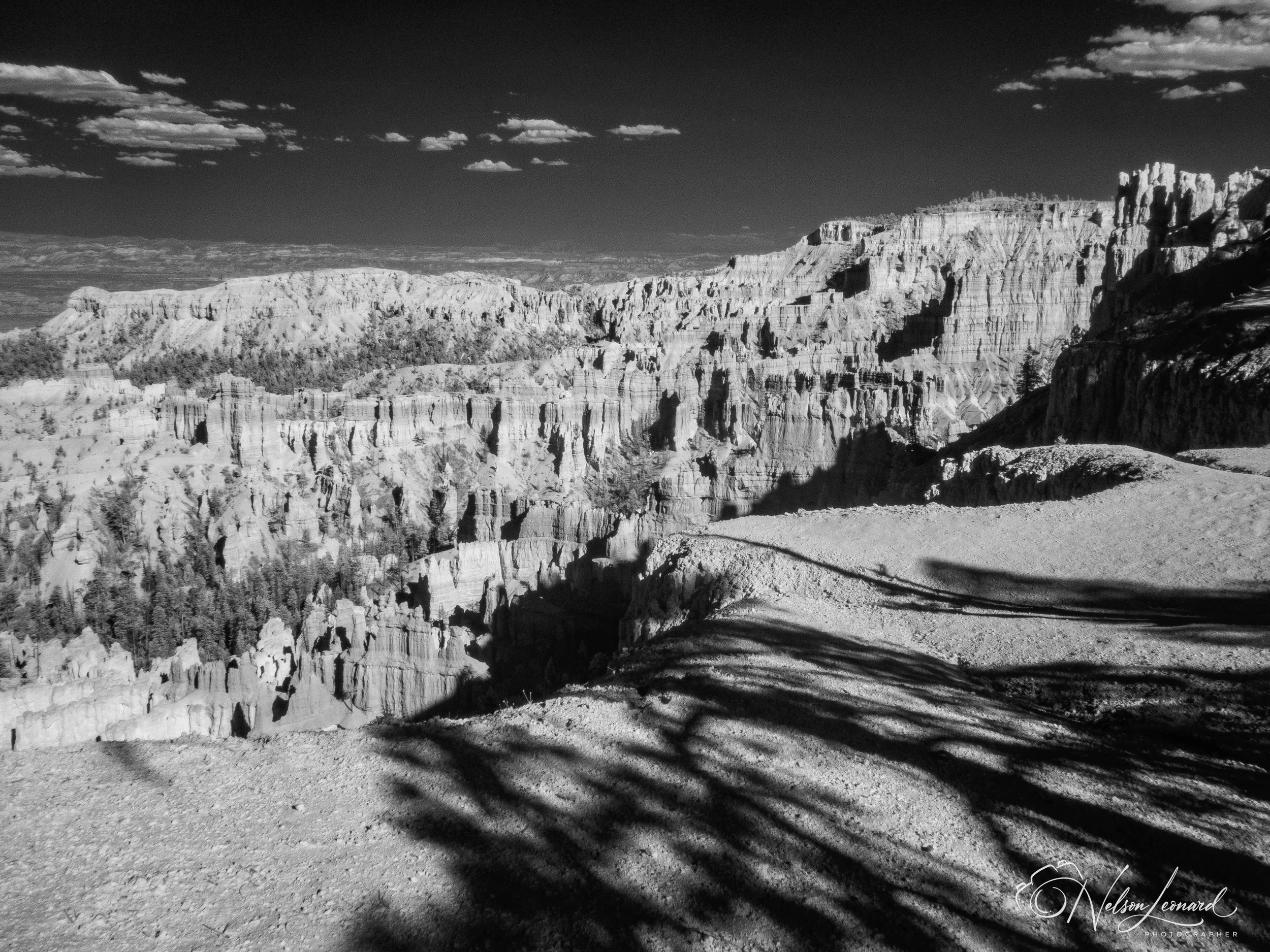 Bryce Canyon Infrared-112.jpg