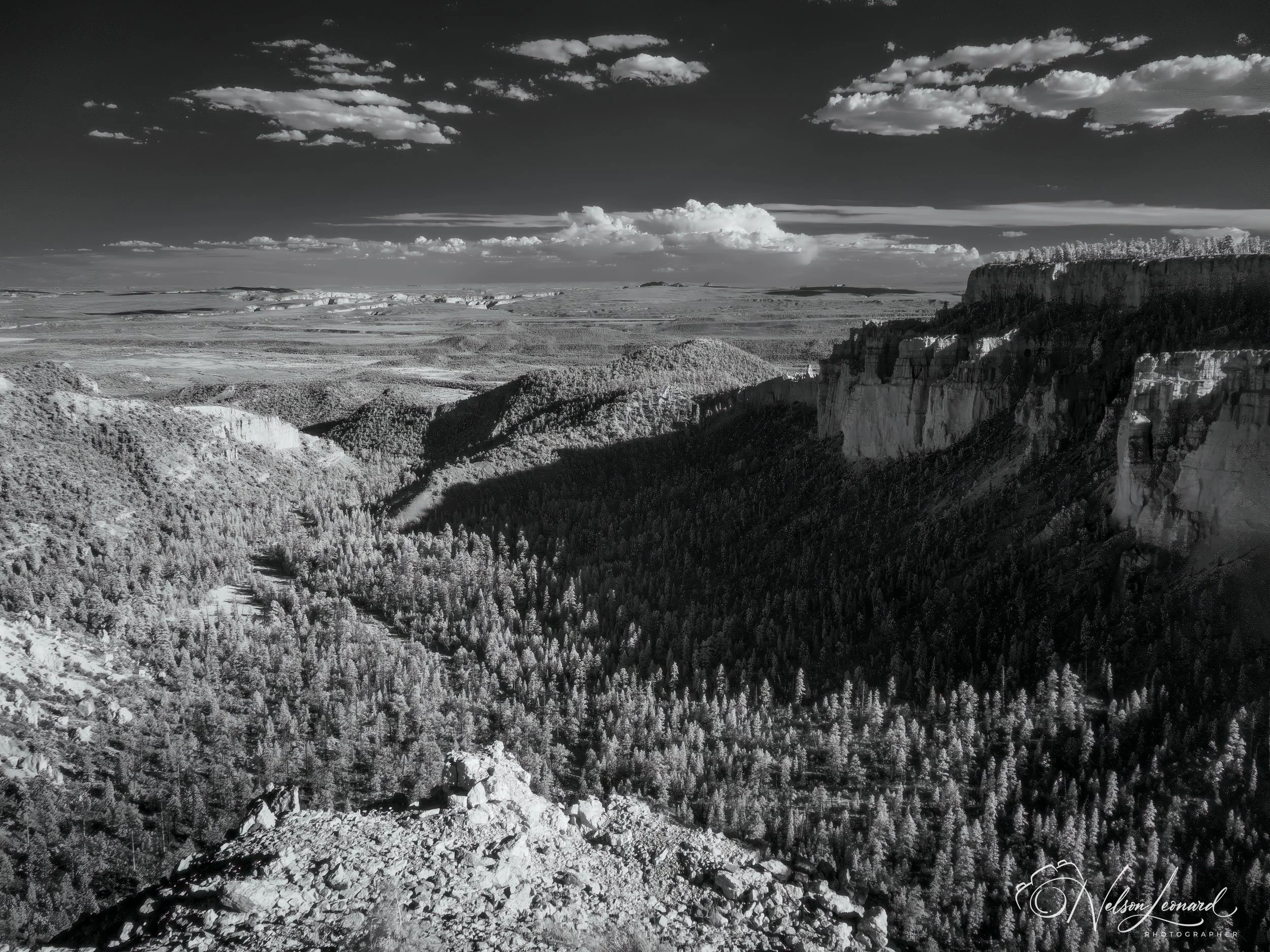 Bryce Canyon Infrared-120.jpg