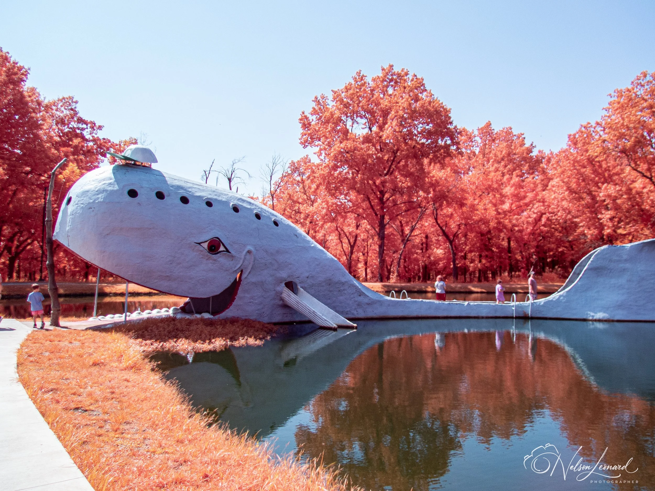 Rt66 Infrared-142.jpg