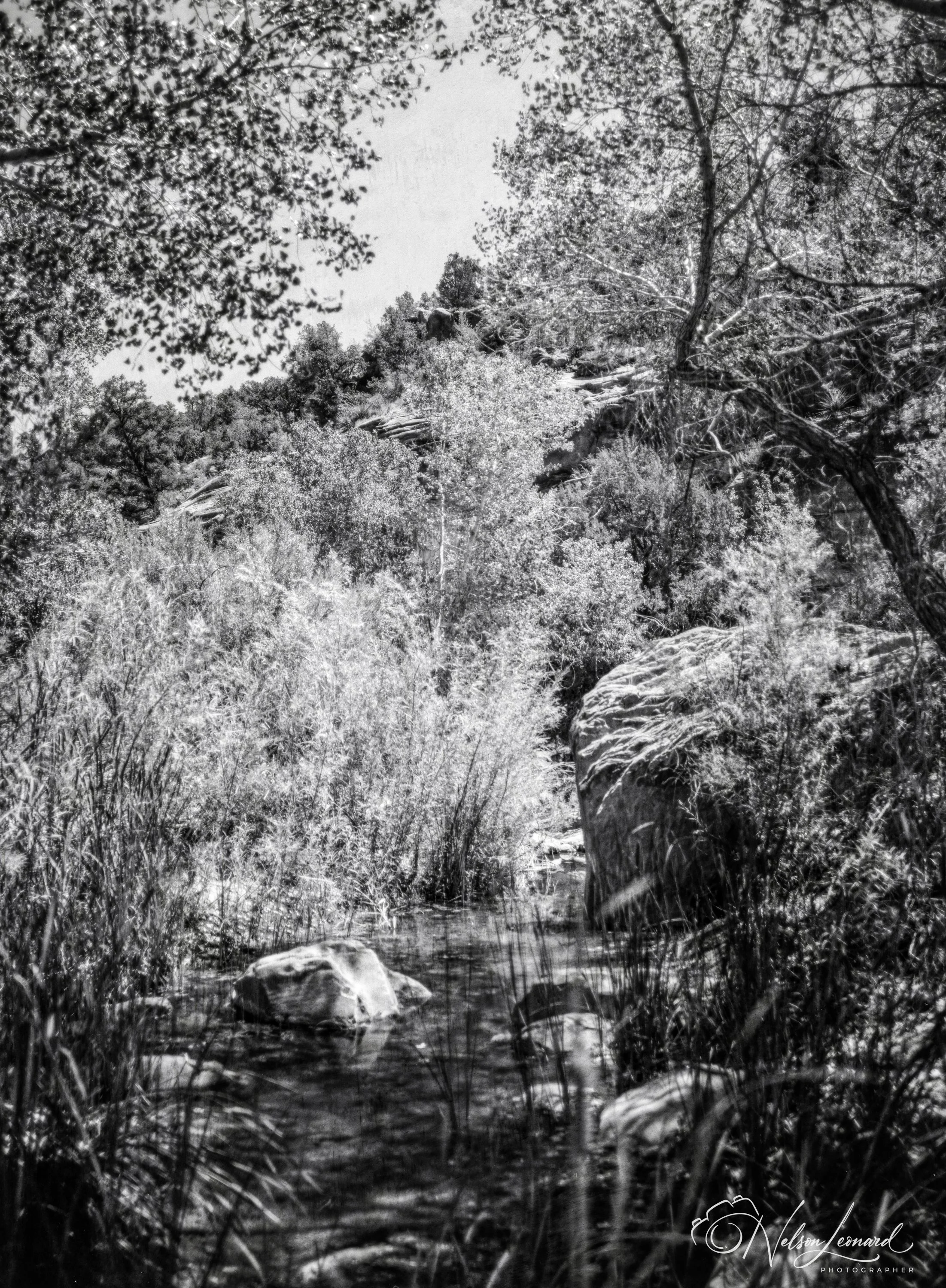 Zion NP 120PanF-101.jpg