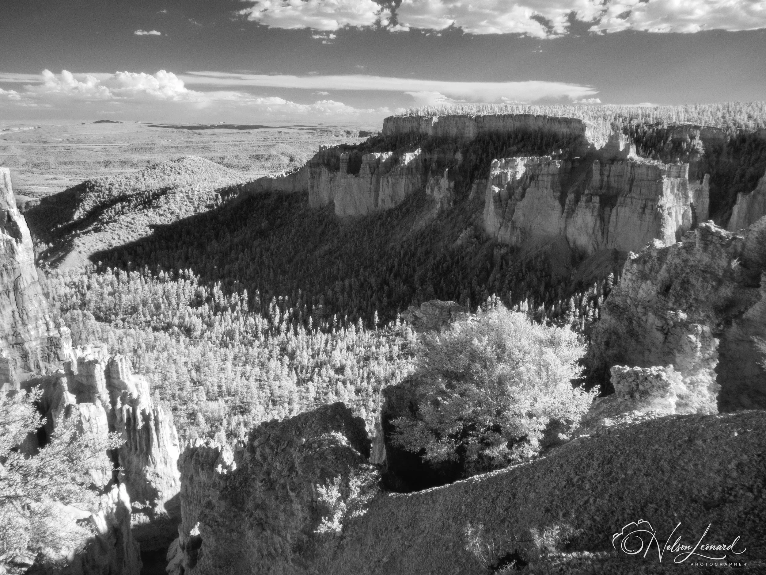Bryce Canyon Infrared-116.jpg
