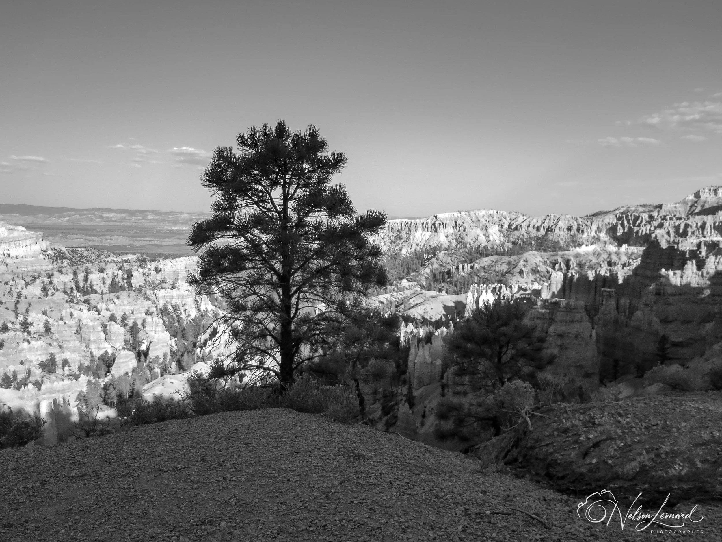 Bryce Canyon Infrared-131.jpg
