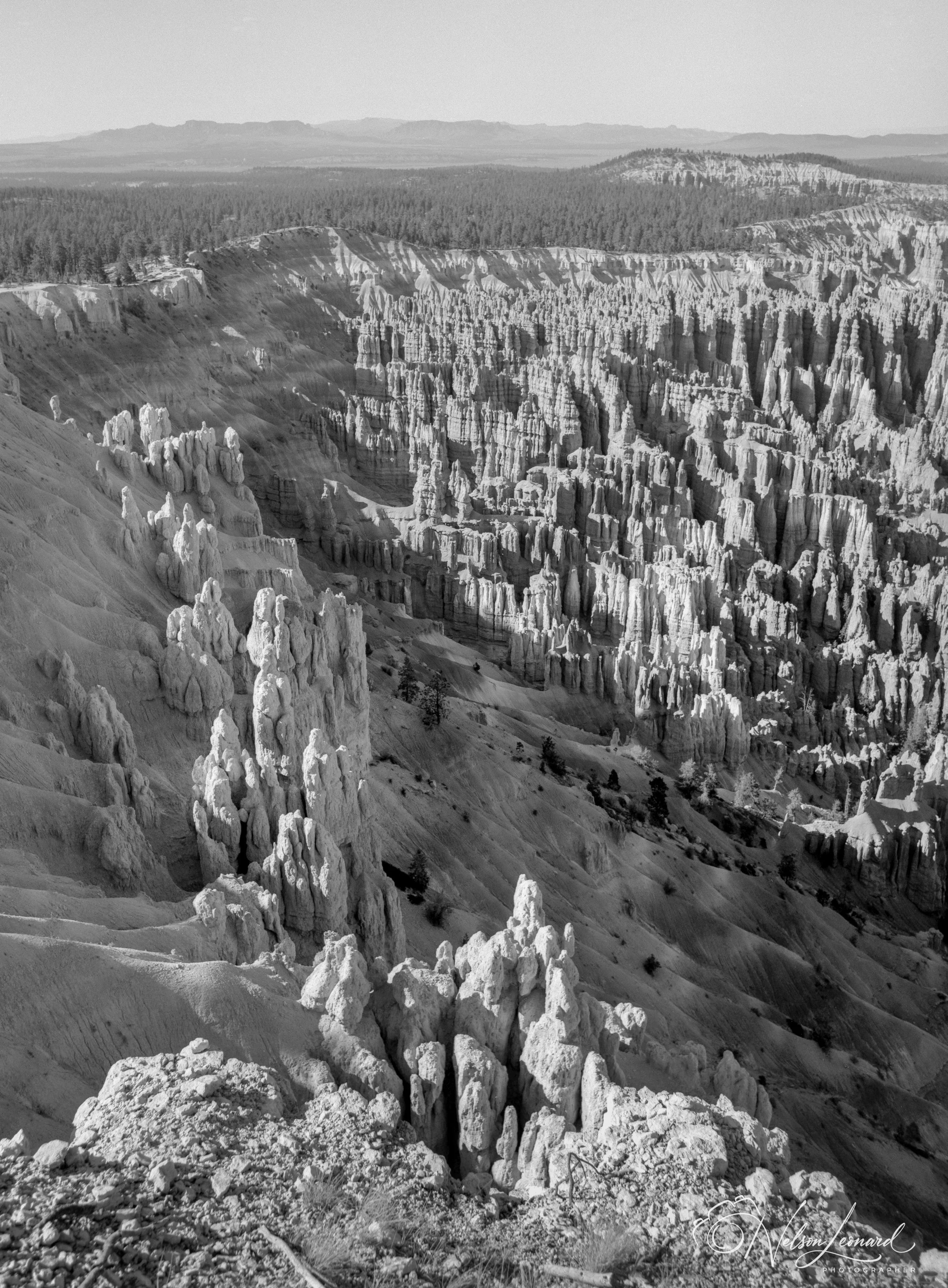 Bryce Canyon 120PanF-106.jpg