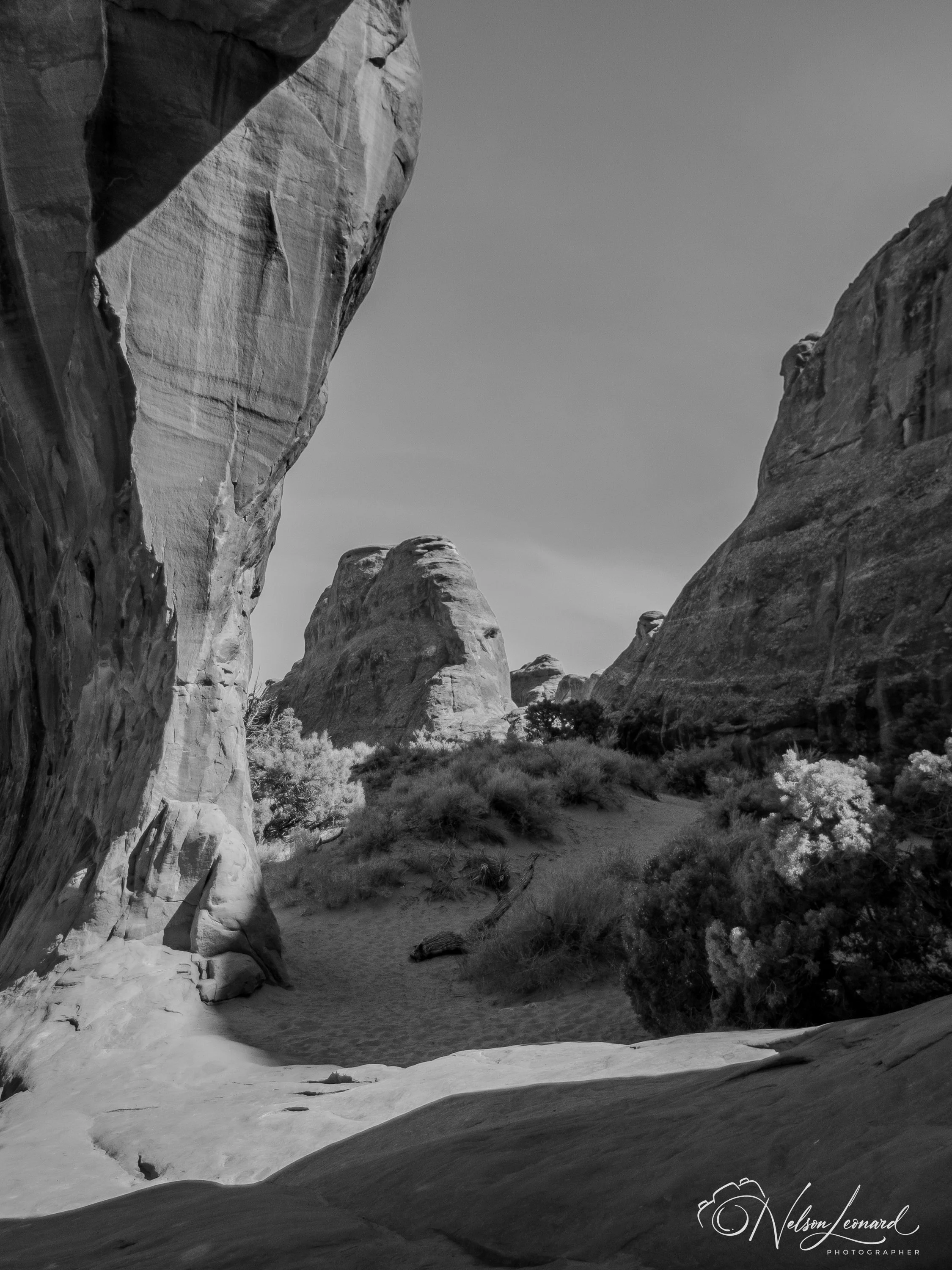 Arches NP Infrared-109.jpg