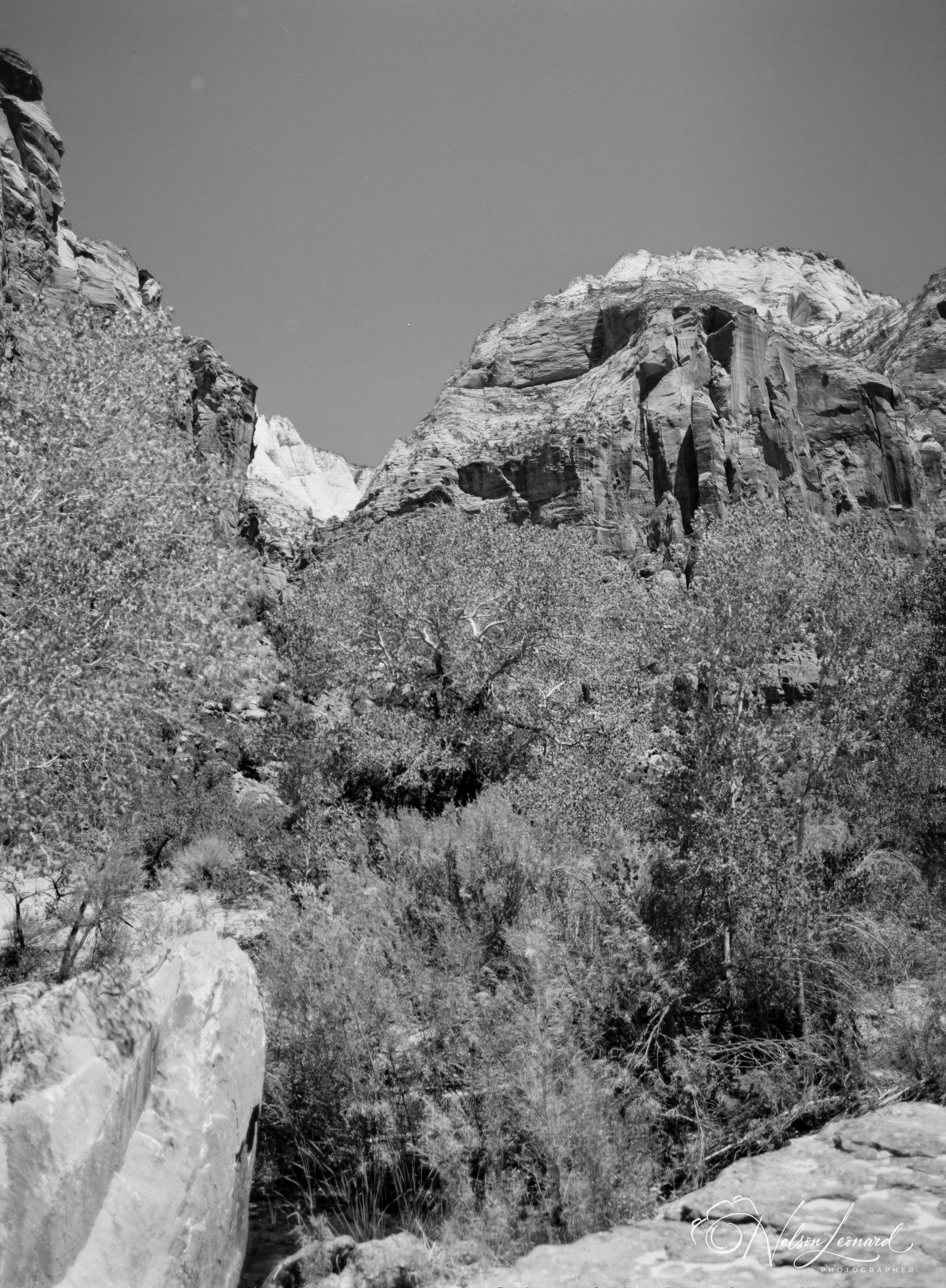 Zion NP 120PanF-103.jpg