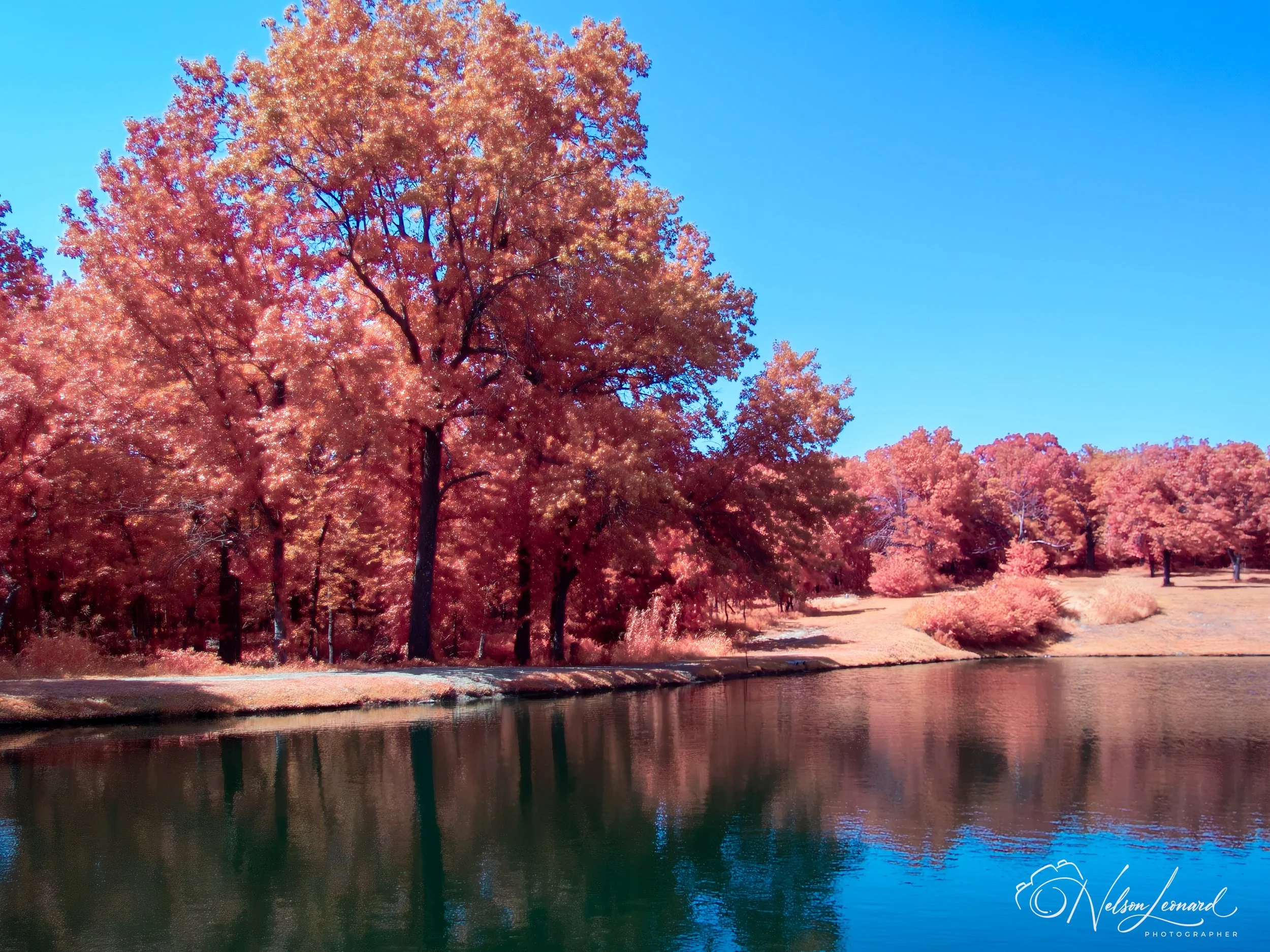 Rt66 Infrared-143.jpg