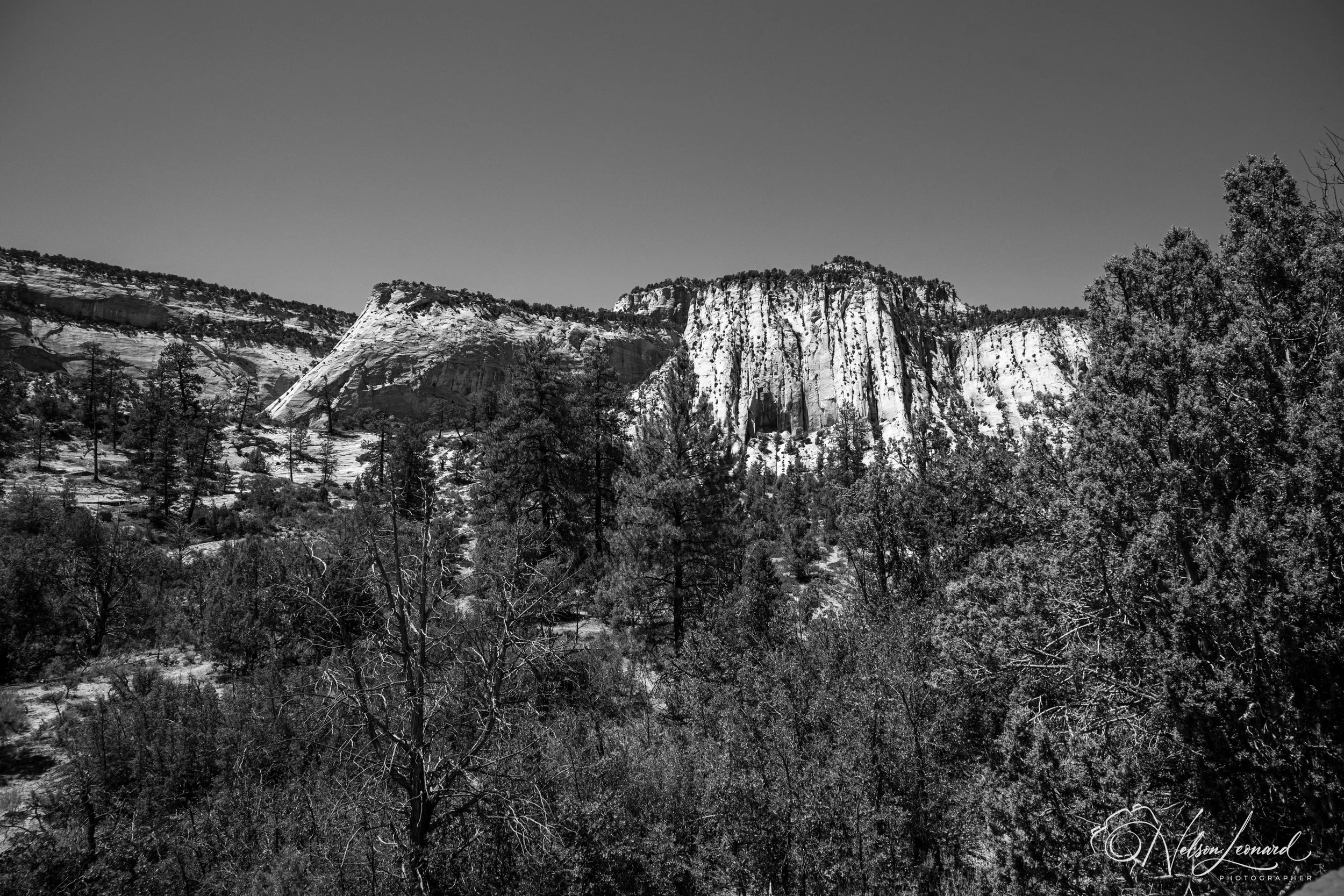 LA to Michigan w Cal-228.jpg