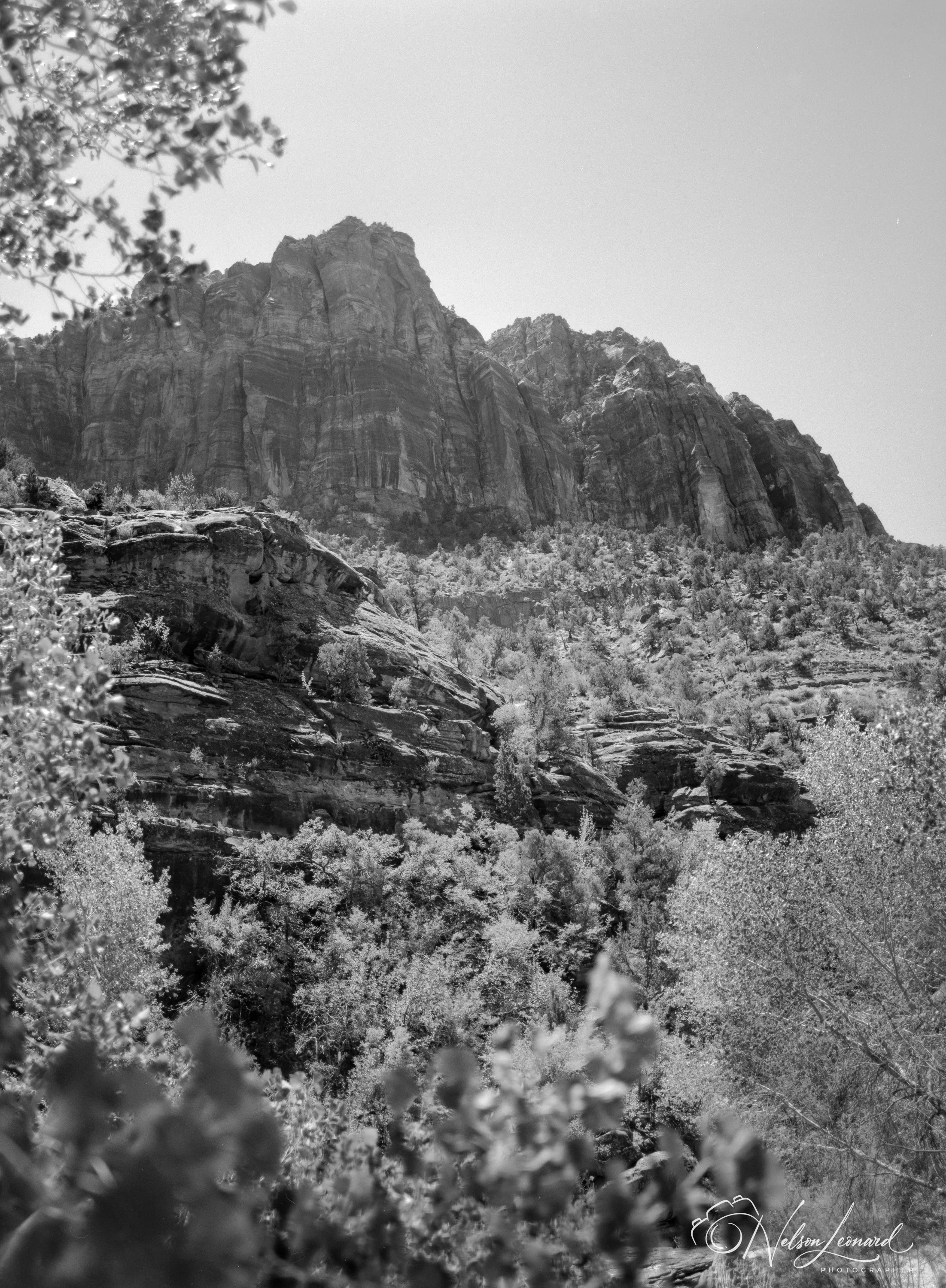 Zion NP 120PanF-102.jpg