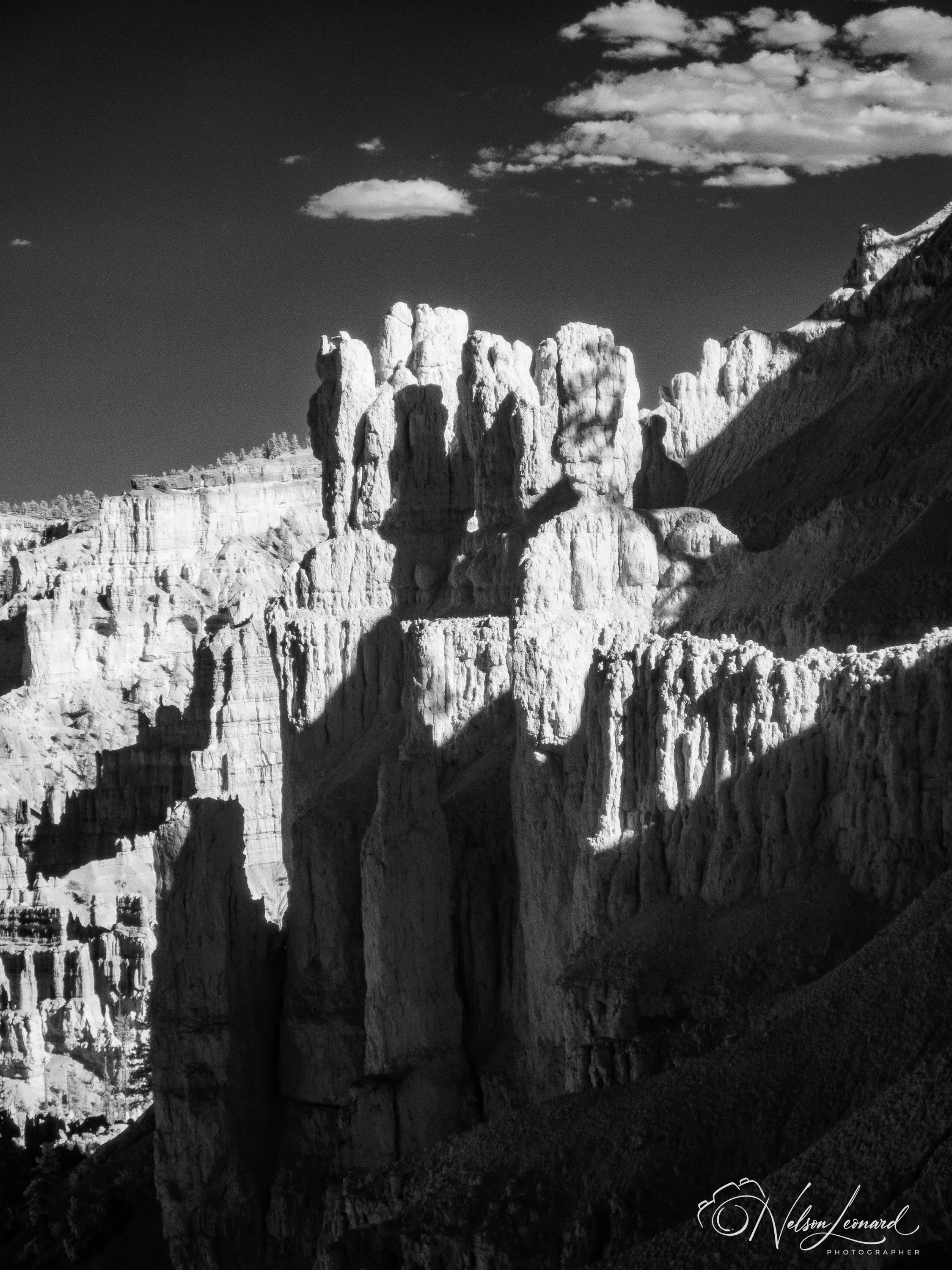 Bryce Canyon Infrared-114.jpg