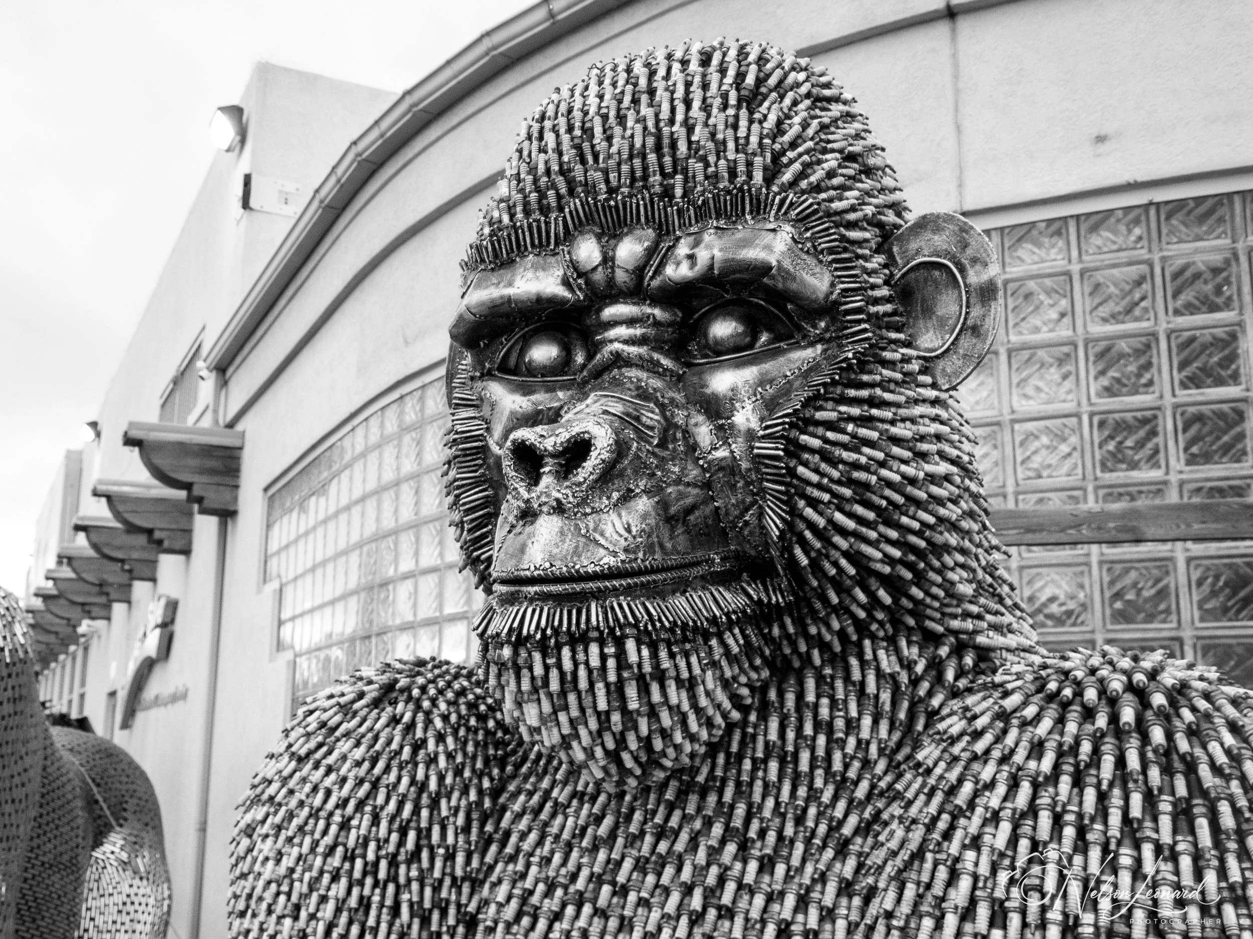 Rt66 Infrared-169.jpg