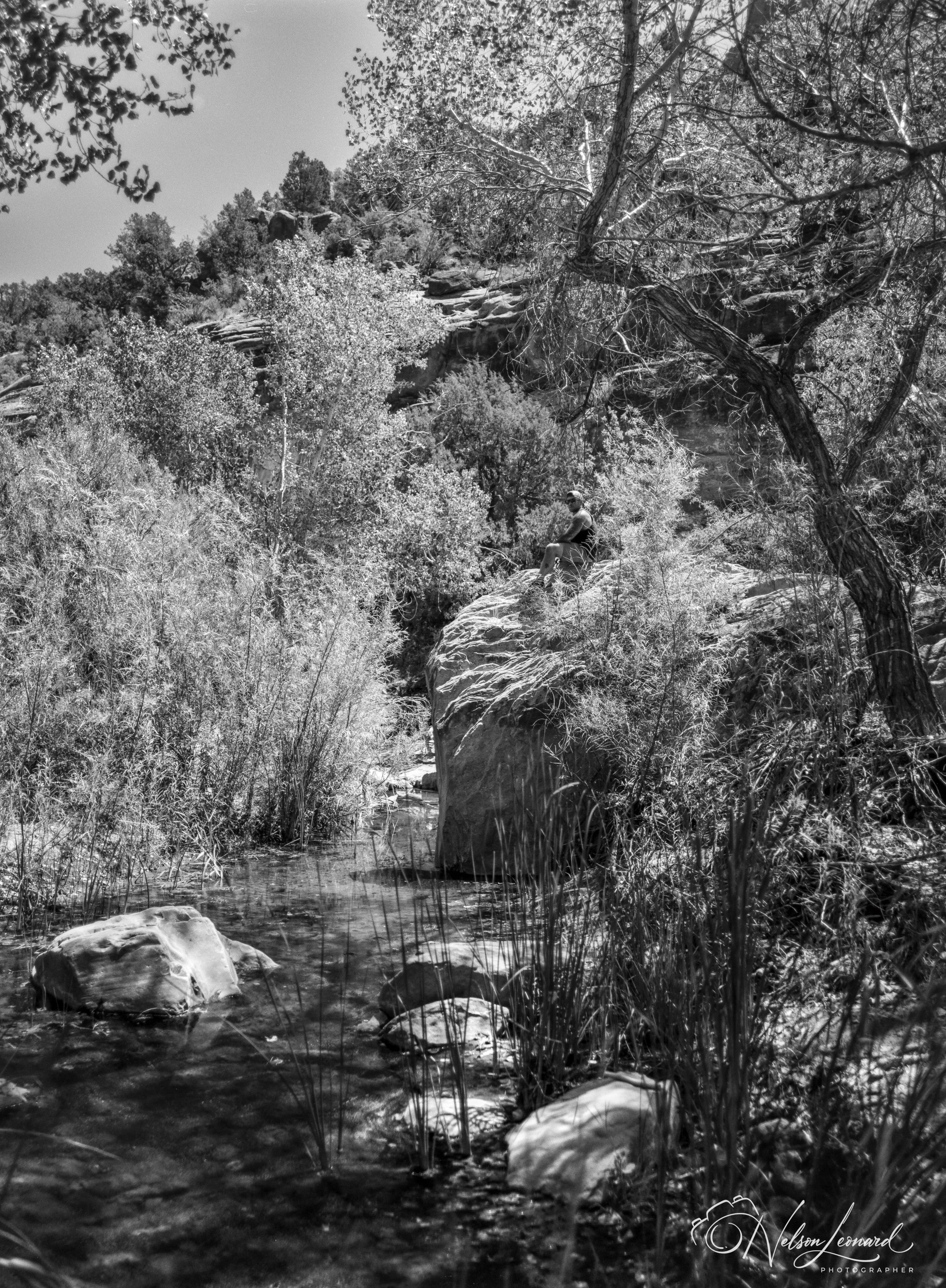 Zion NP 120PanF-104.jpg