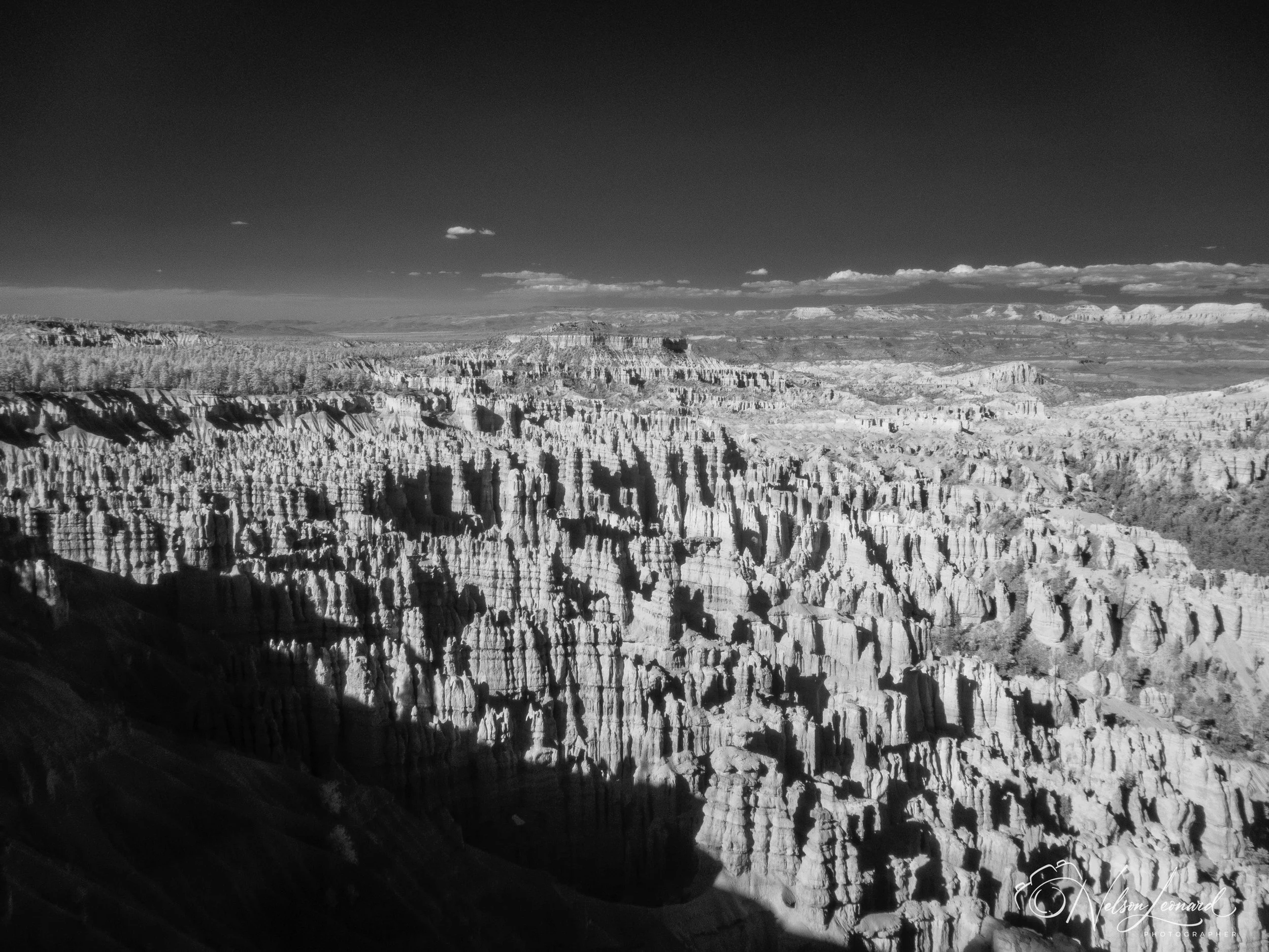 Bryce Canyon Infrared-111.jpg