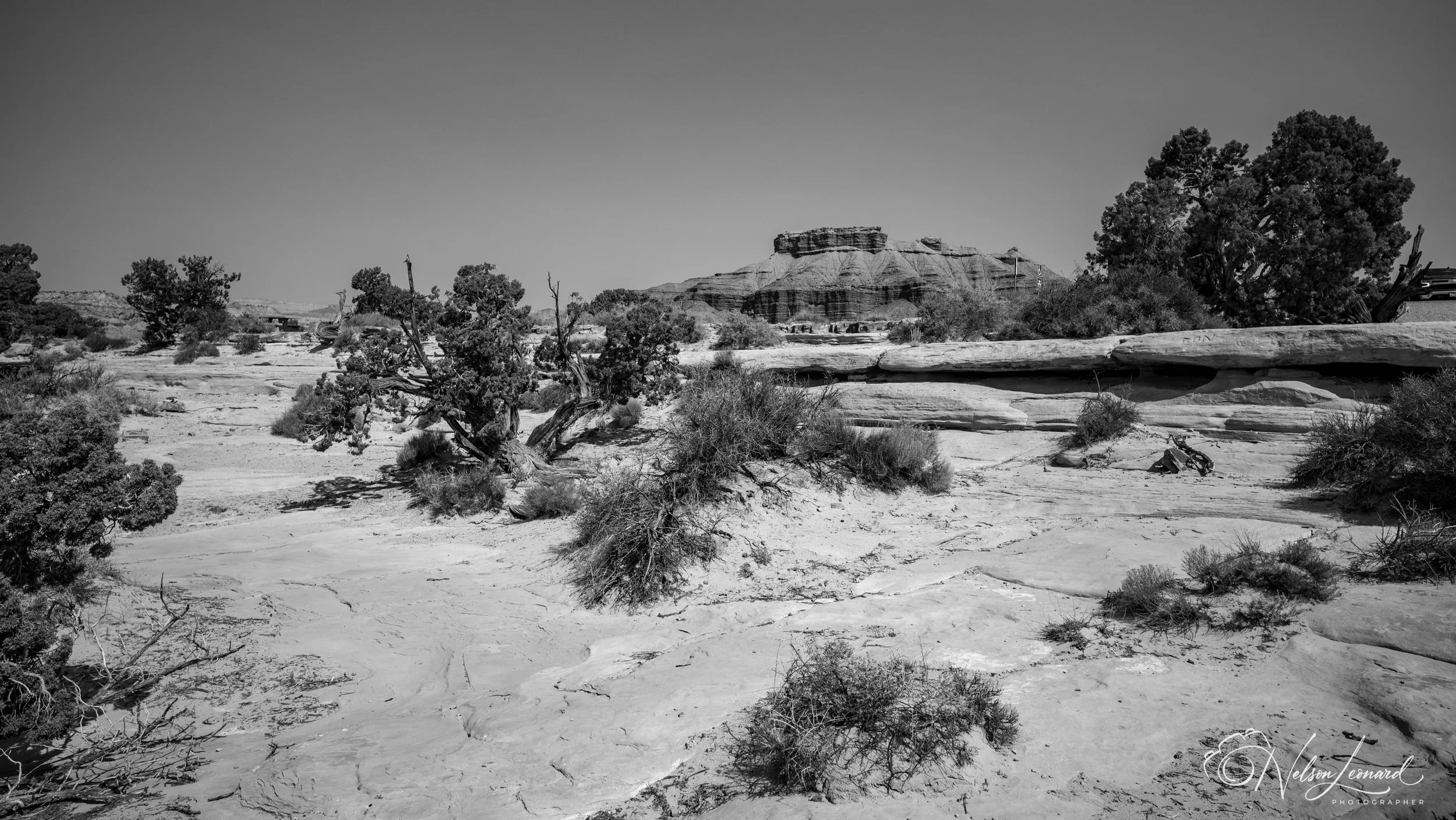 LA to Michigan w Cal-241.jpg