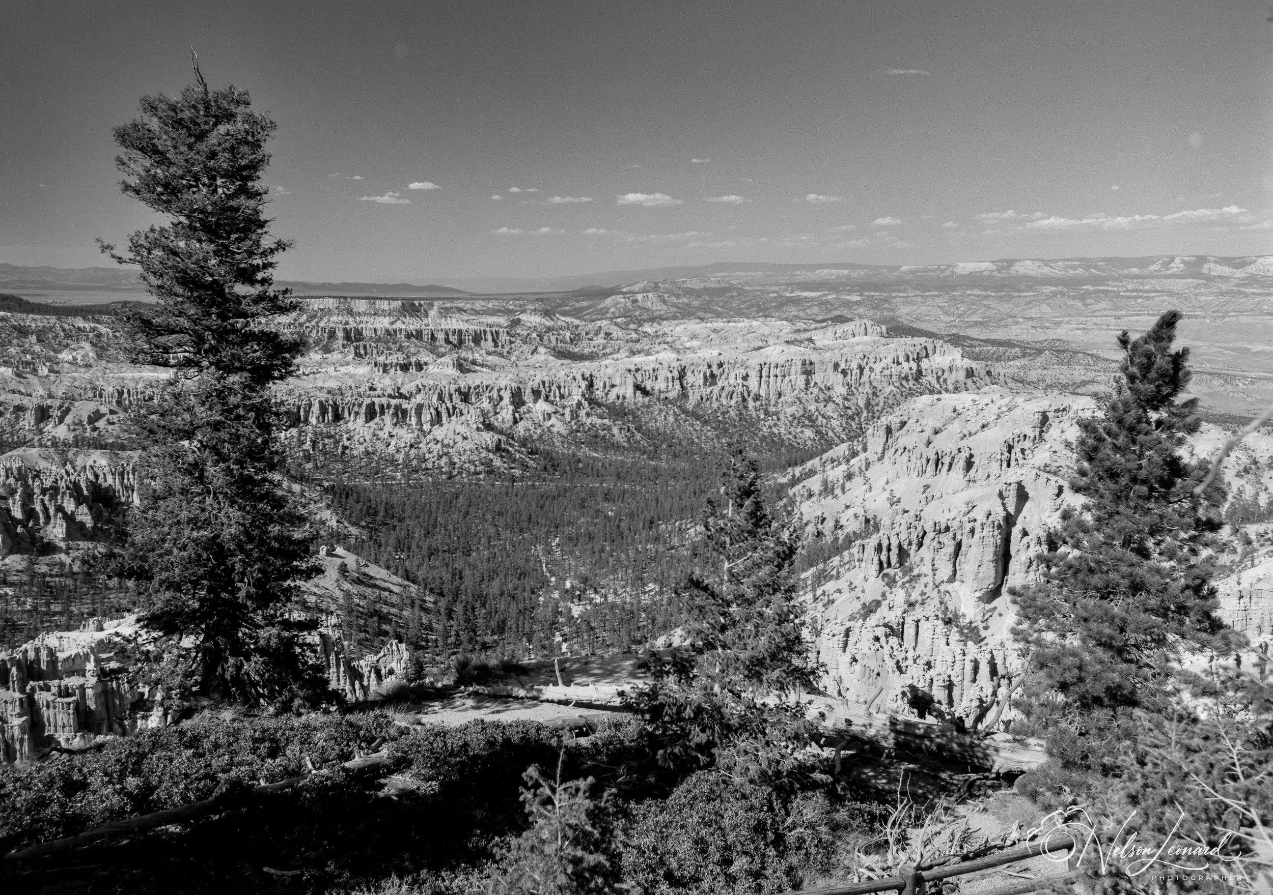 Bryce Canyon 120PanF-101.jpg