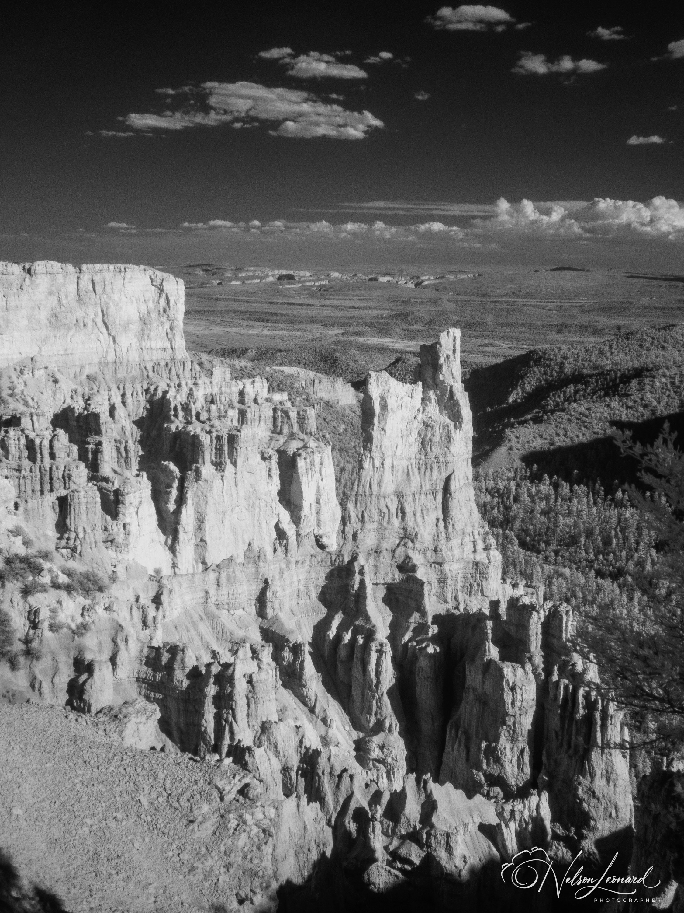 Bryce Canyon Infrared-115.jpg