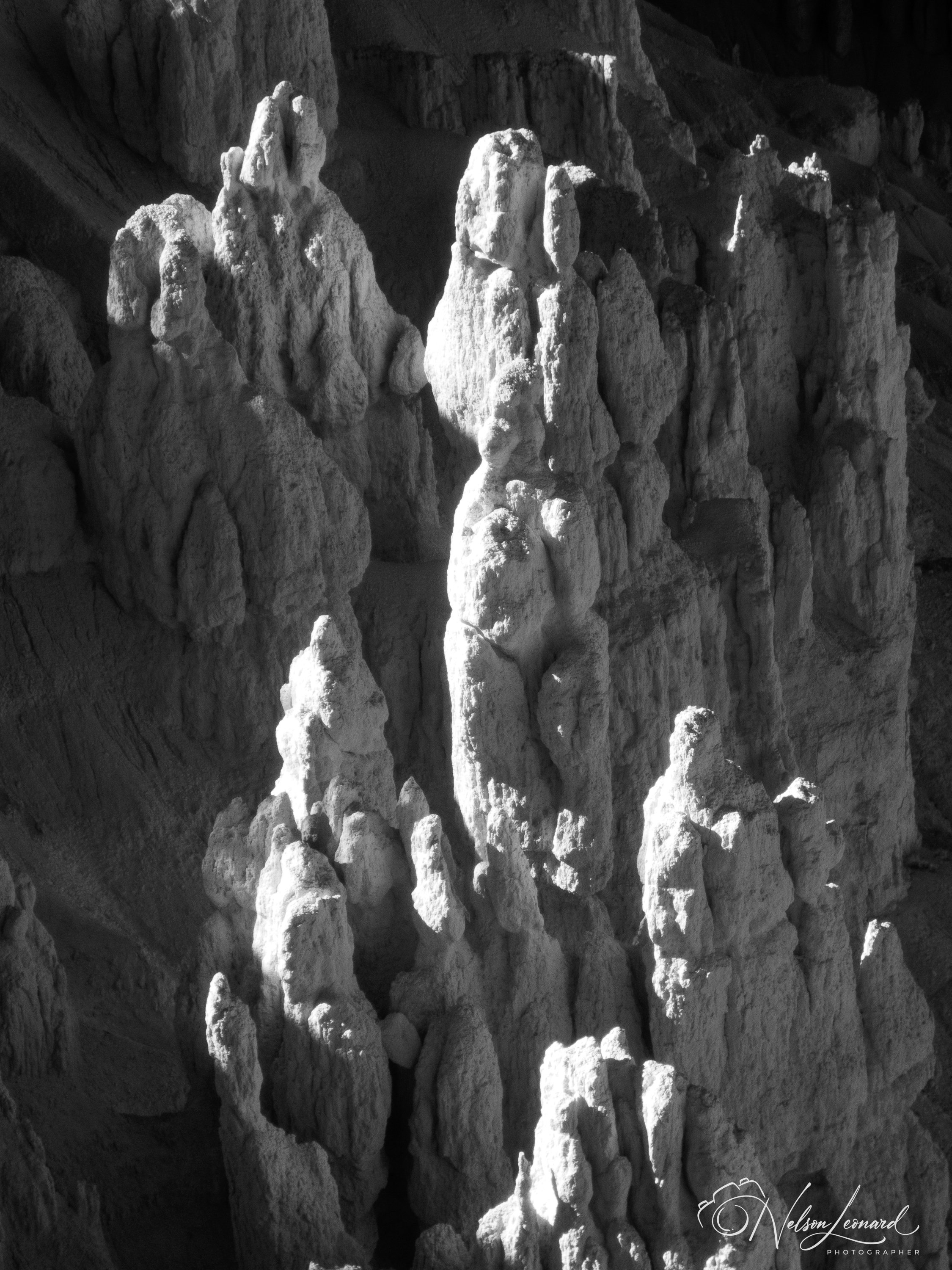 Bryce Canyon Infrared-108.jpg