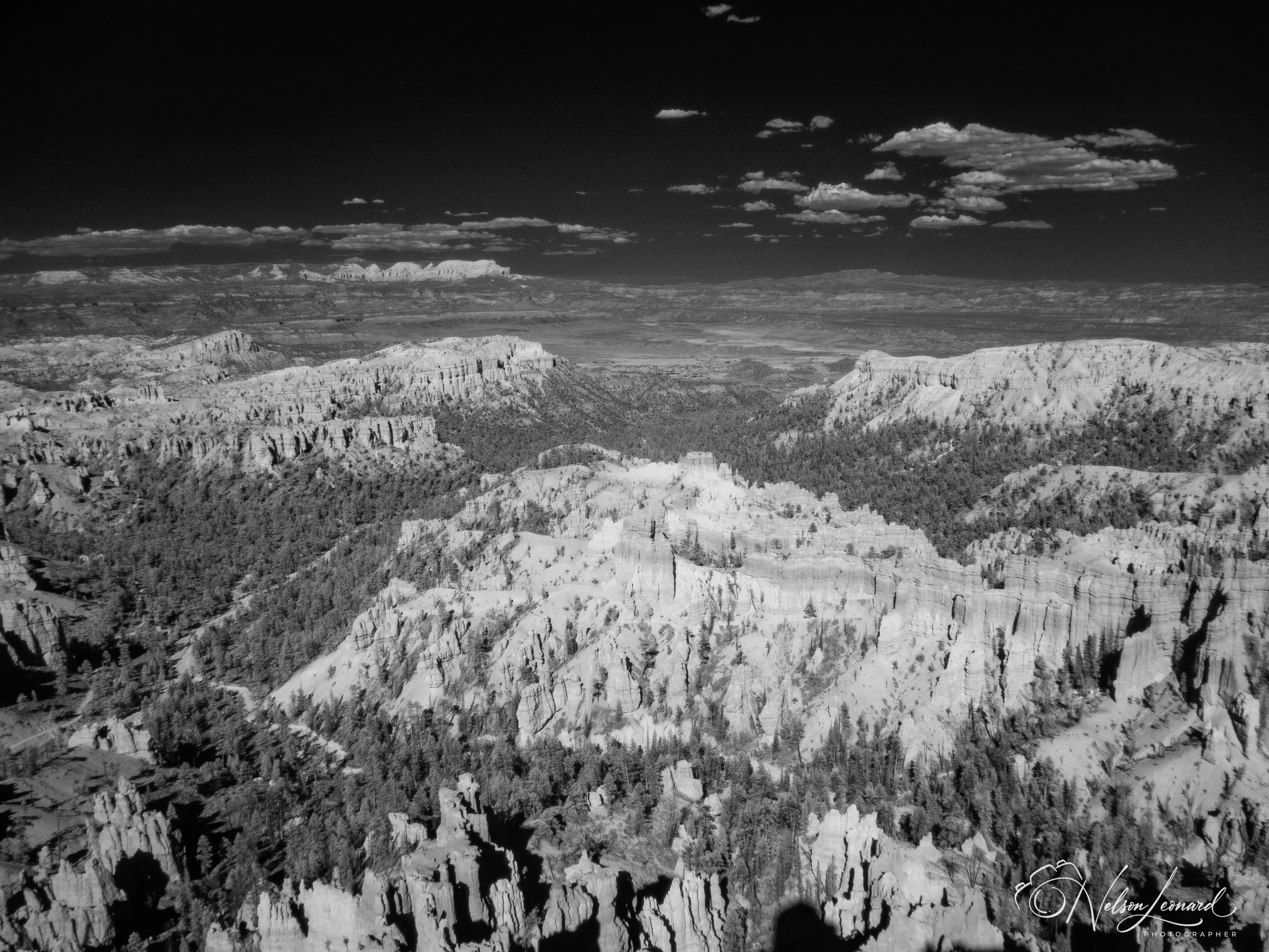 Bryce Canyon Infrared-107.jpg