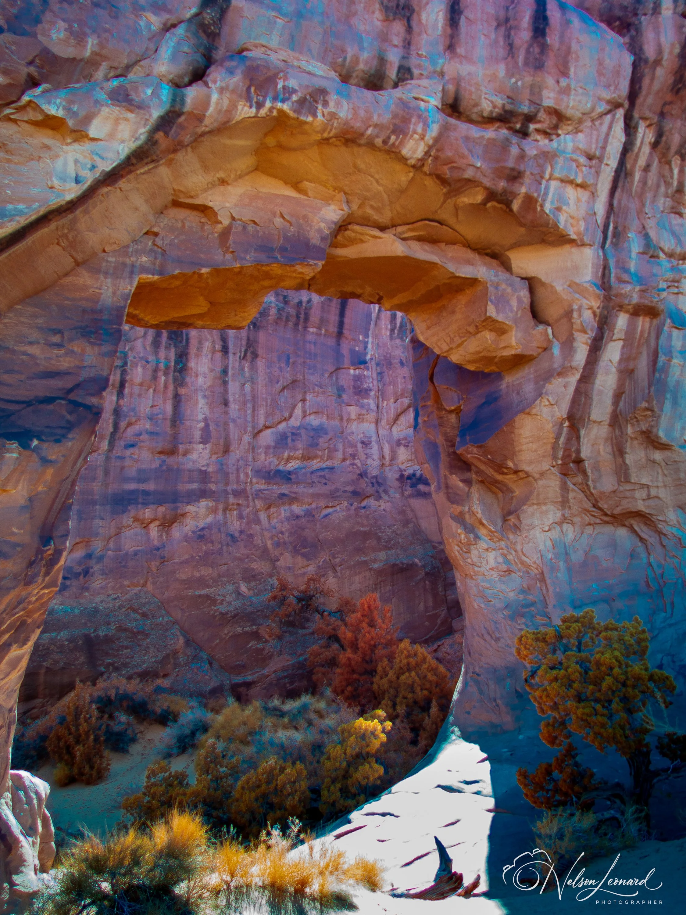 Arches NP Infrared-104.jpg
