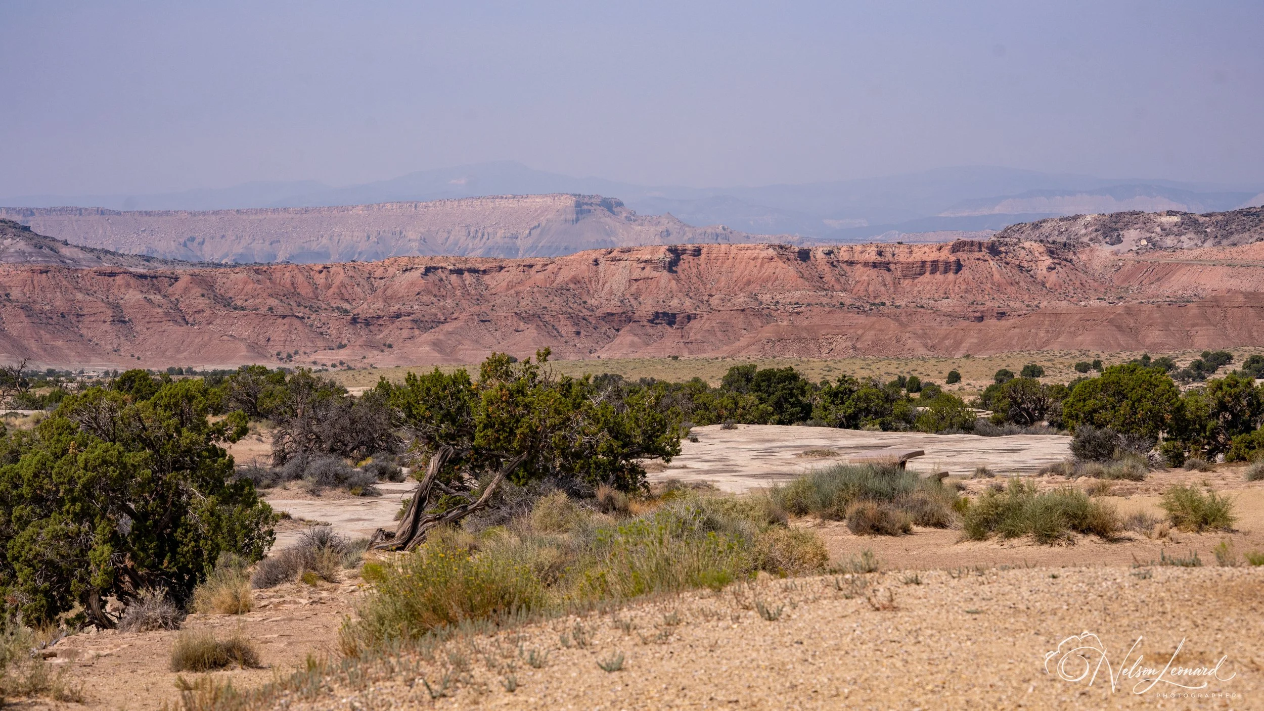 LA to Michigan w Cal-251.jpg