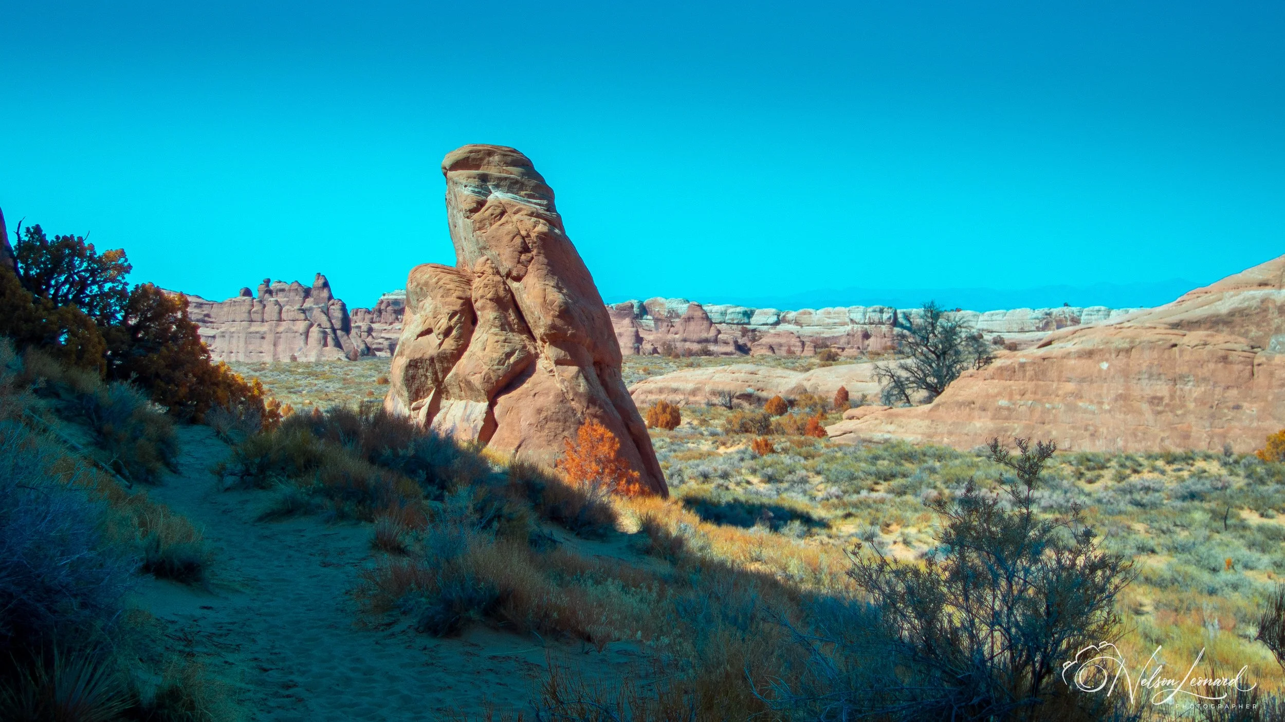 Arches NP Infrared-111.jpg