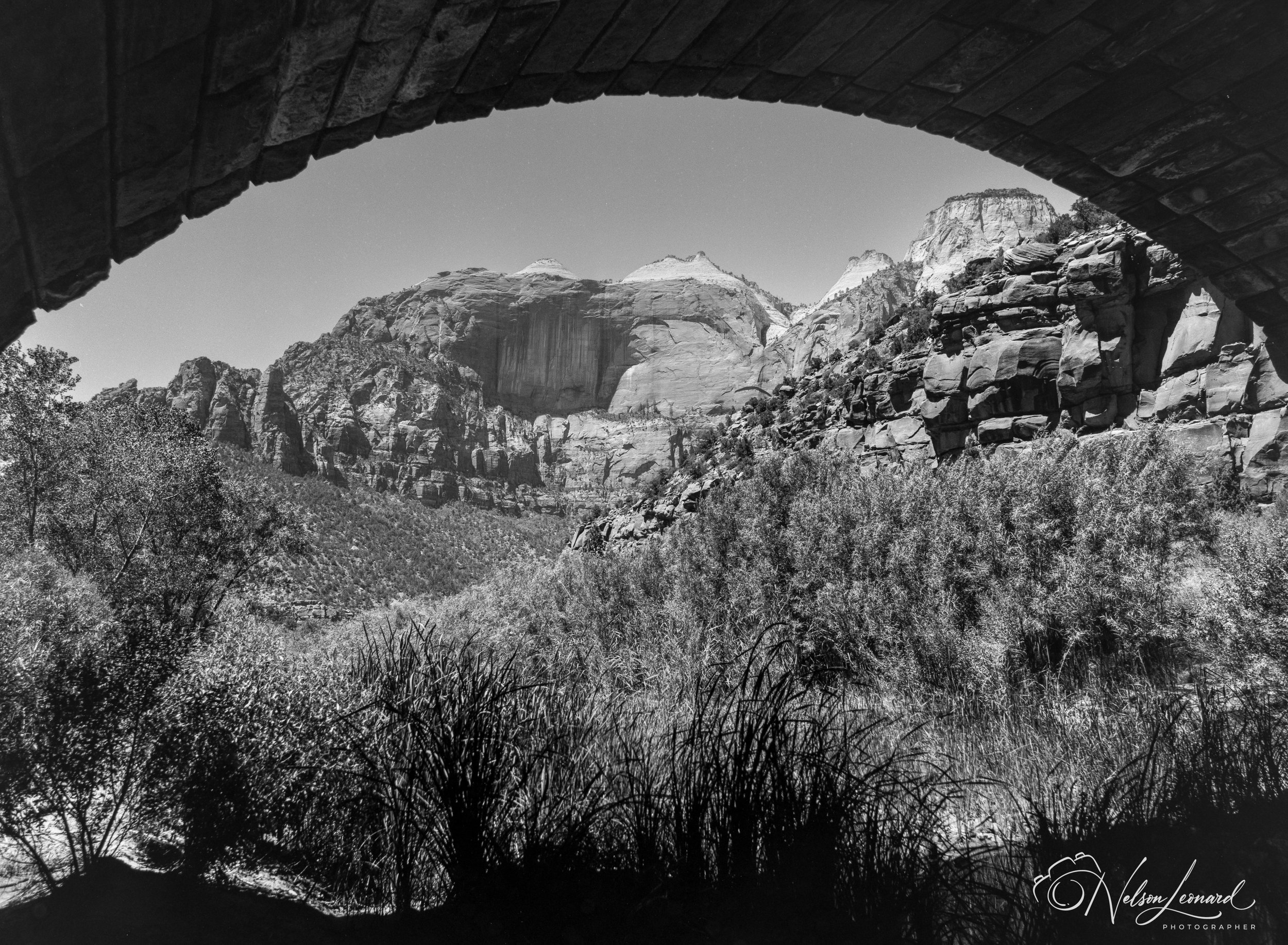 Zion NP 120PanF-109.jpg