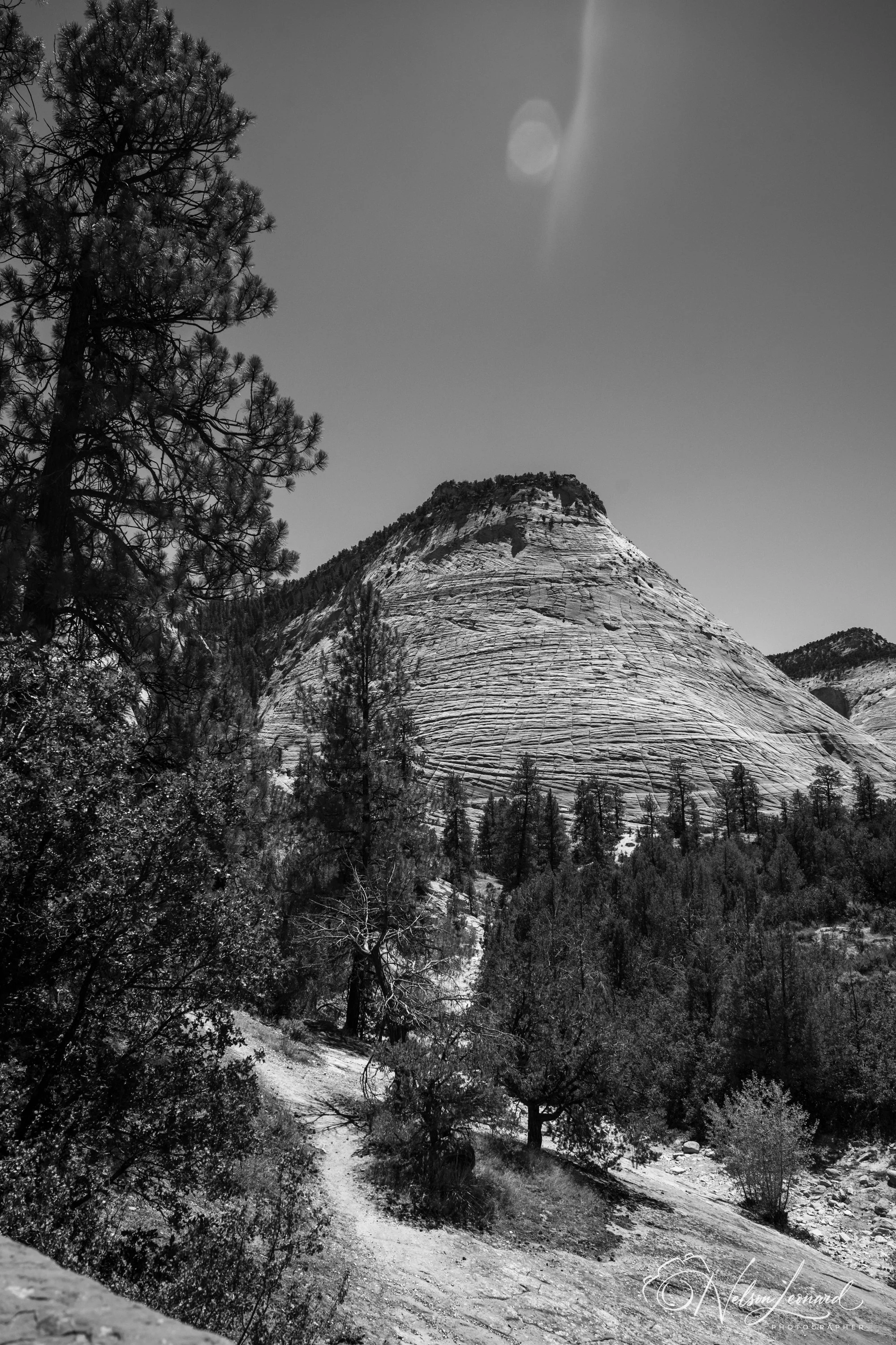 LA to Michigan w Cal-229.jpg