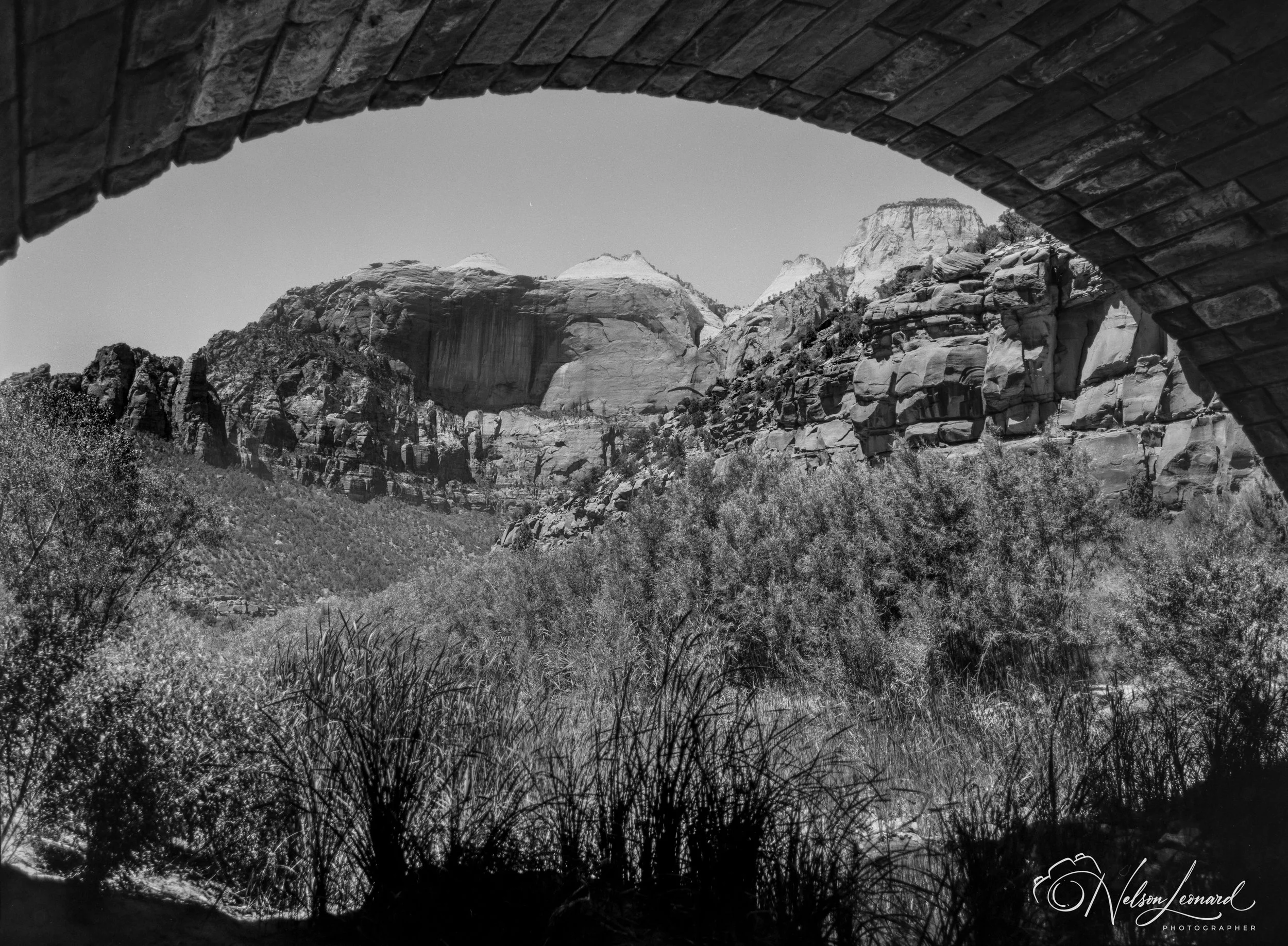 Zion NP 120PanF-108.jpg
