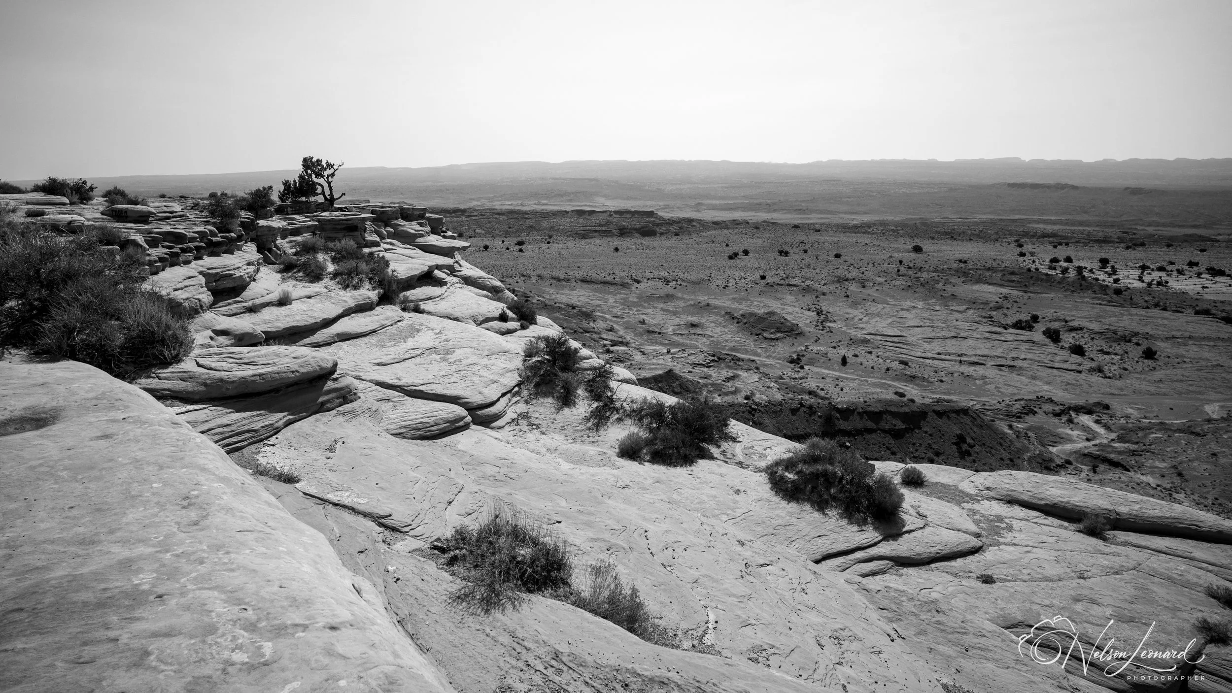 LA to Michigan w Cal-237.jpg