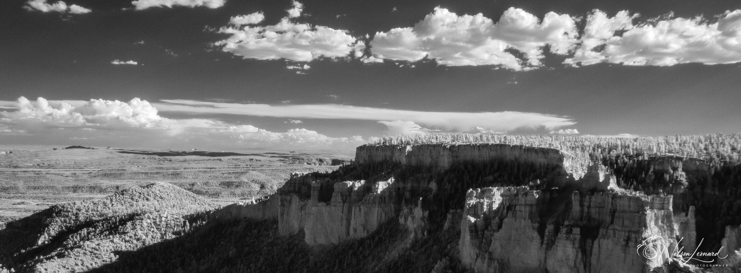 Bryce Canyon Infrared-117.jpg