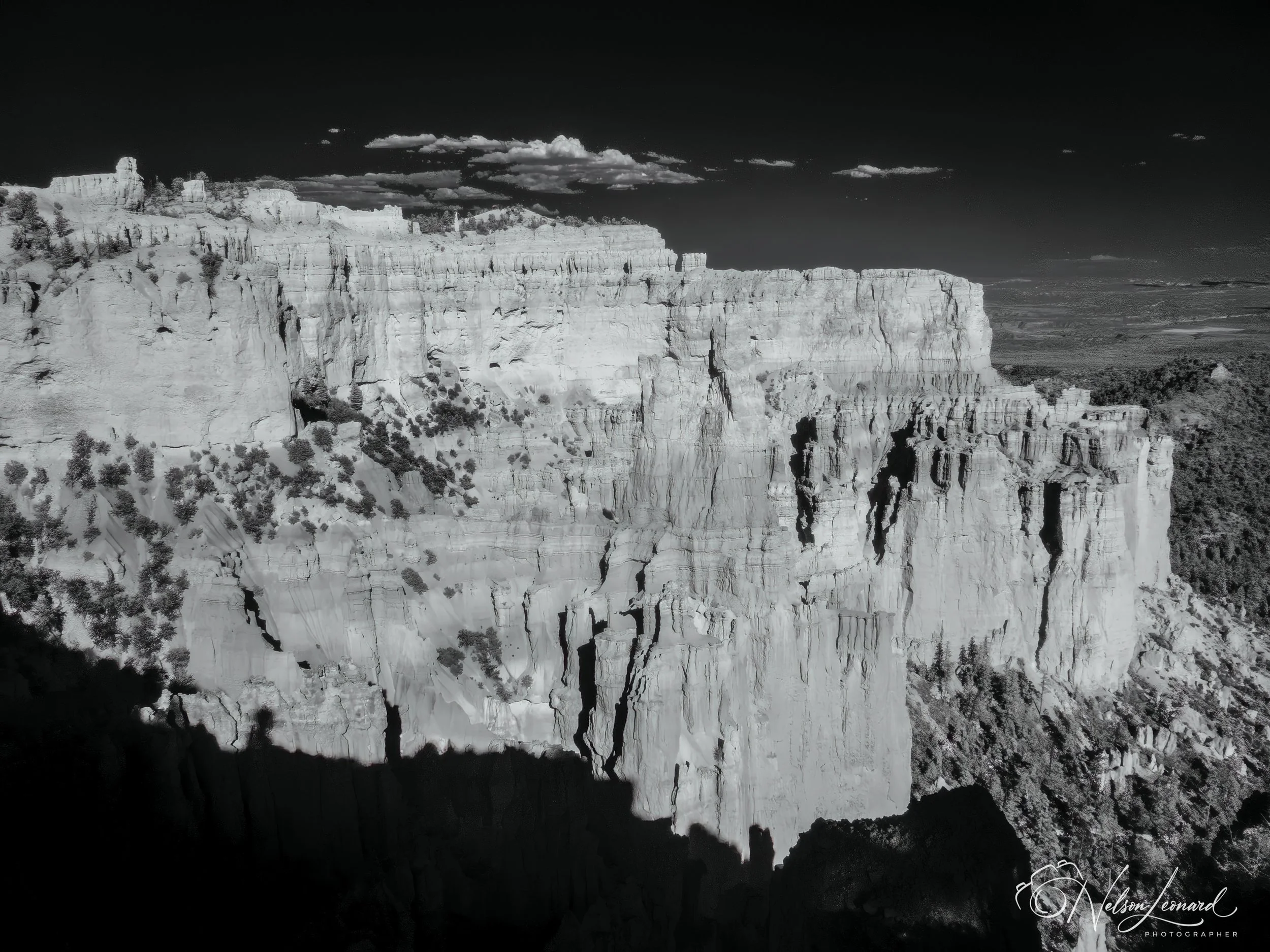 Bryce Canyon Infrared-119.jpg
