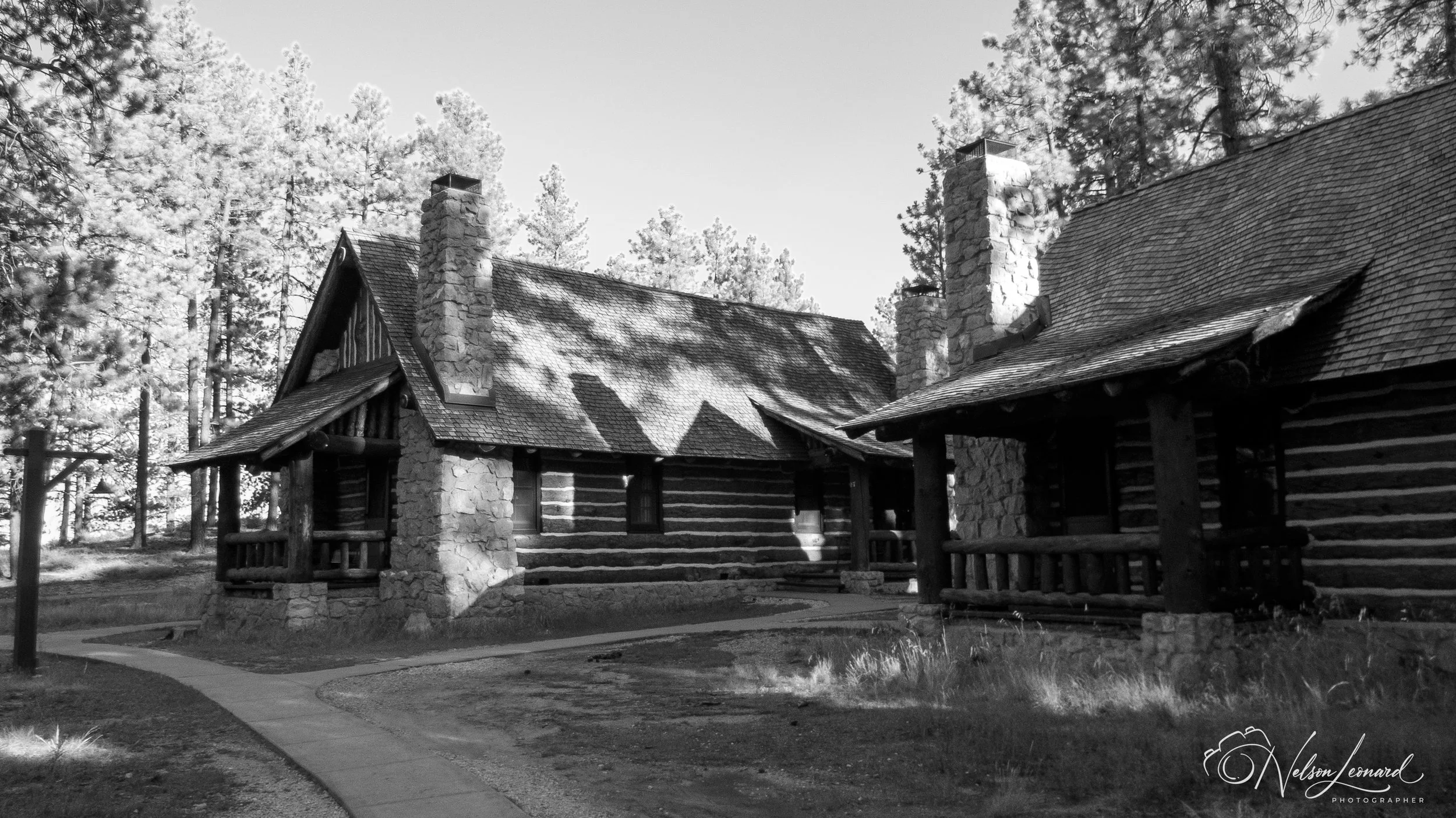 Bryce Canyon Infrared-135.jpg