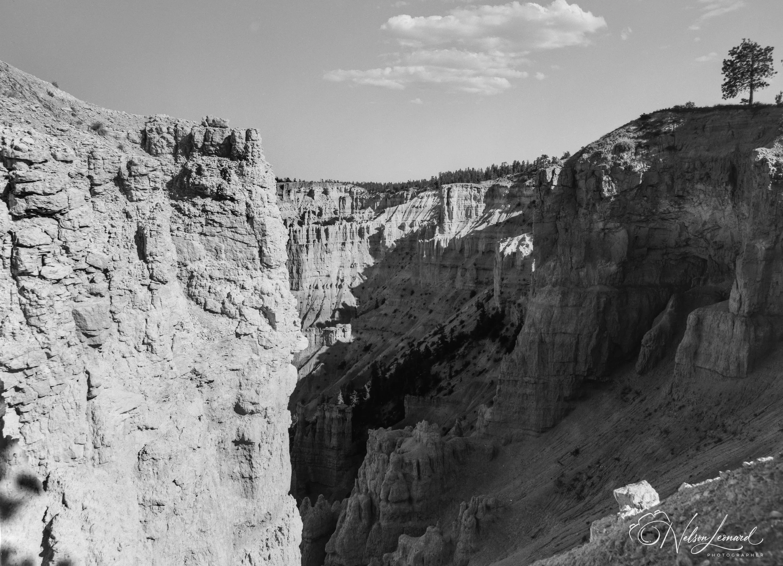 Bryce Canyon 120PanF-103.jpg