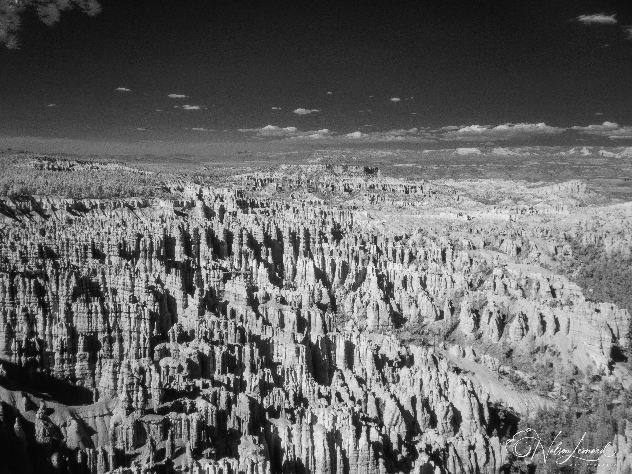 Bryce Canyon Infrared-104.jpg