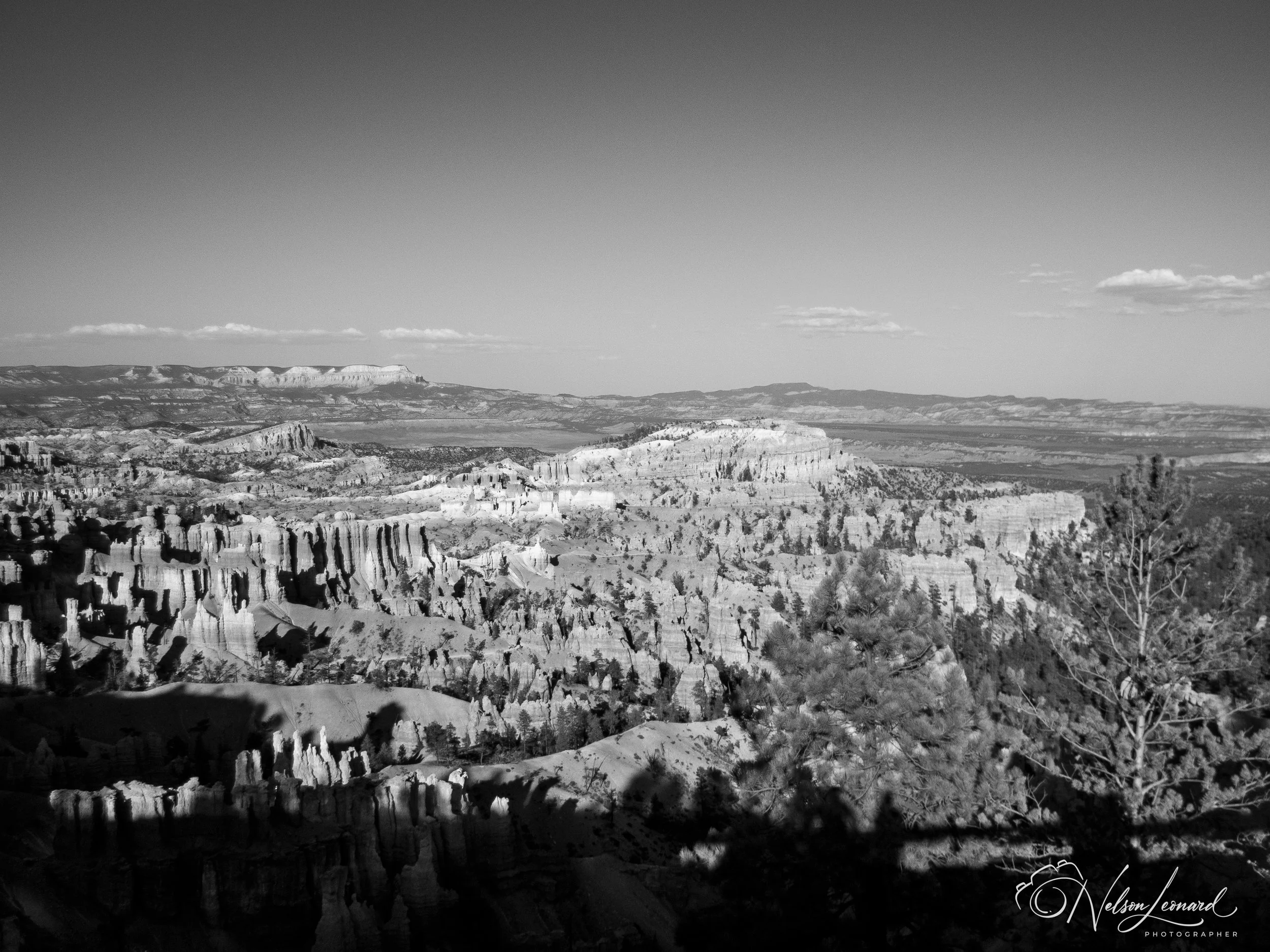 Bryce Canyon Infrared-127.jpg