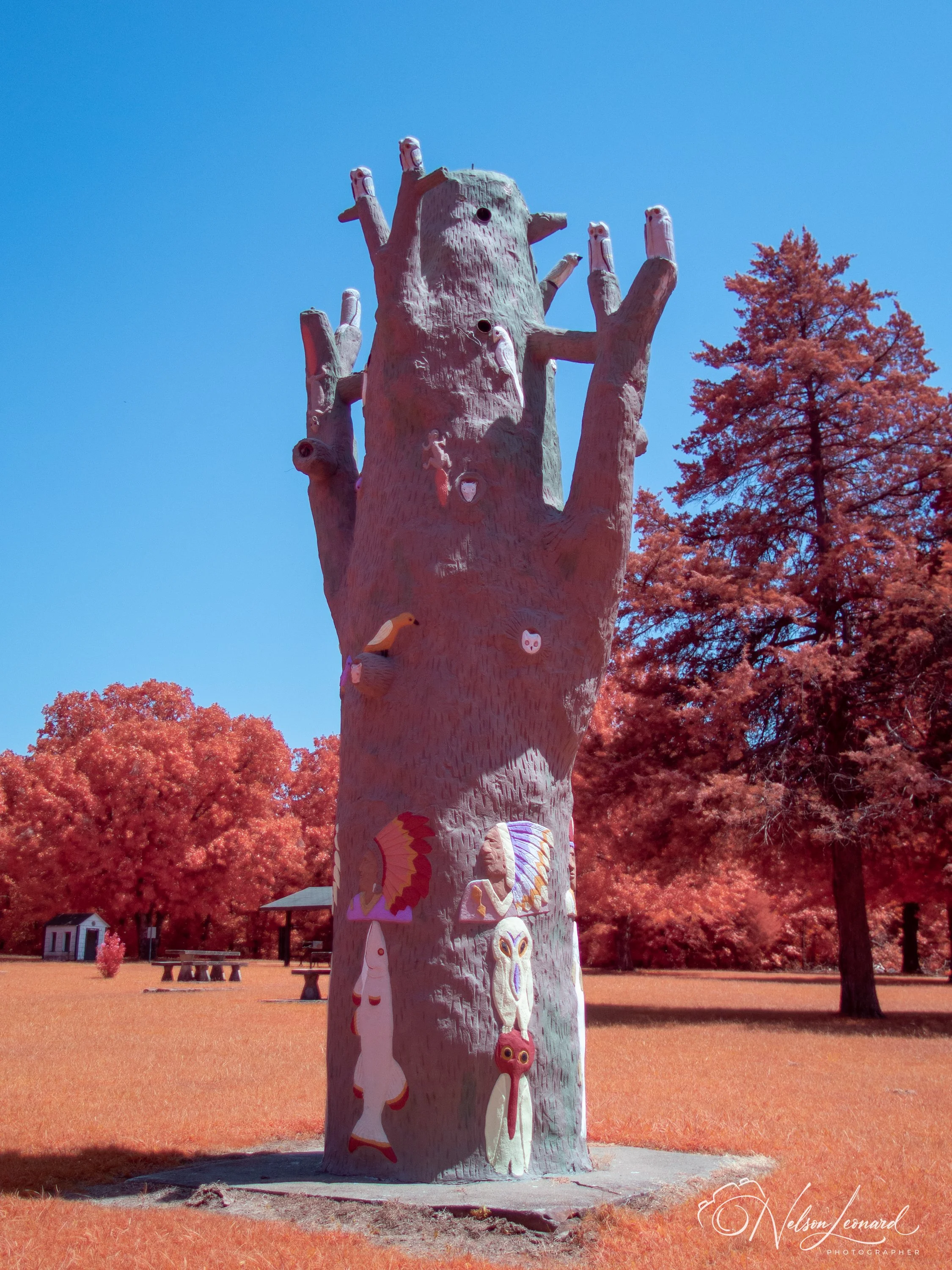Rt66 Infrared-138.jpg