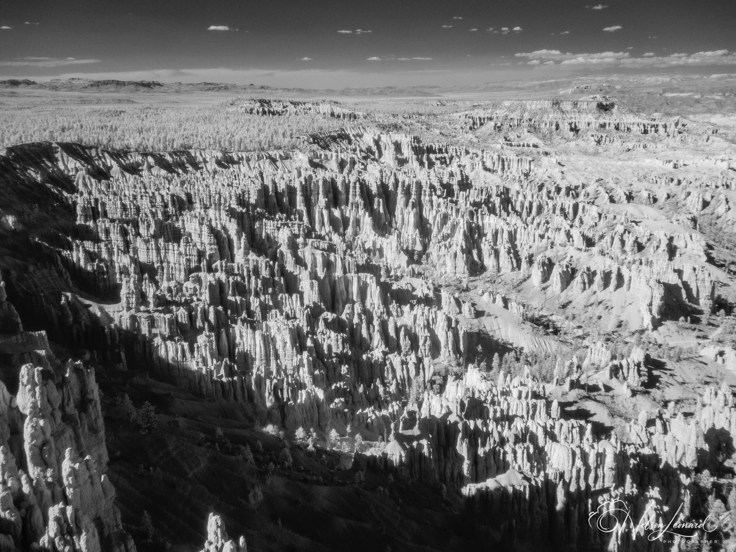 Bryce Canyon Infrared-105.jpg