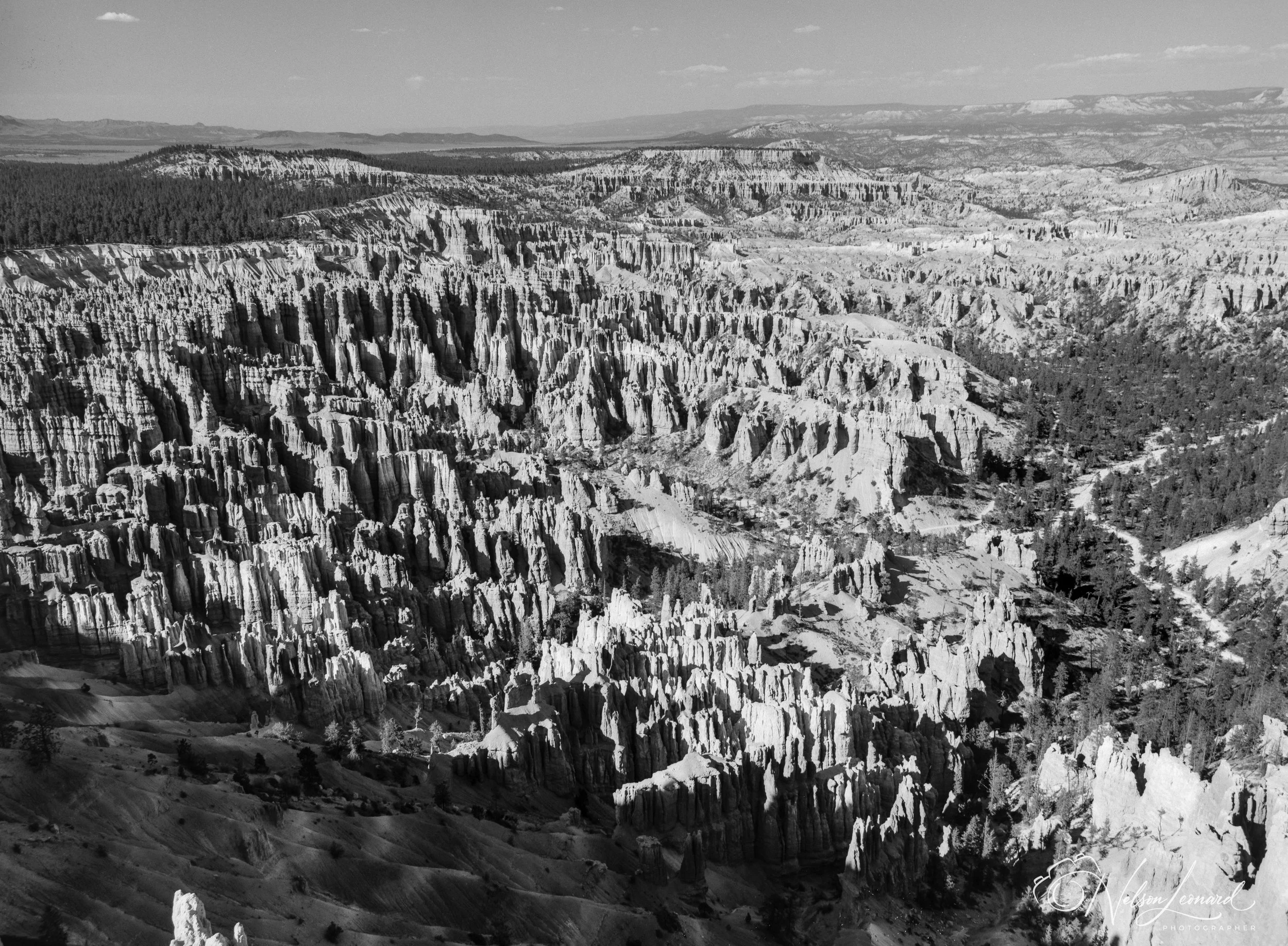 Bryce Canyon 120PanF-105.jpg