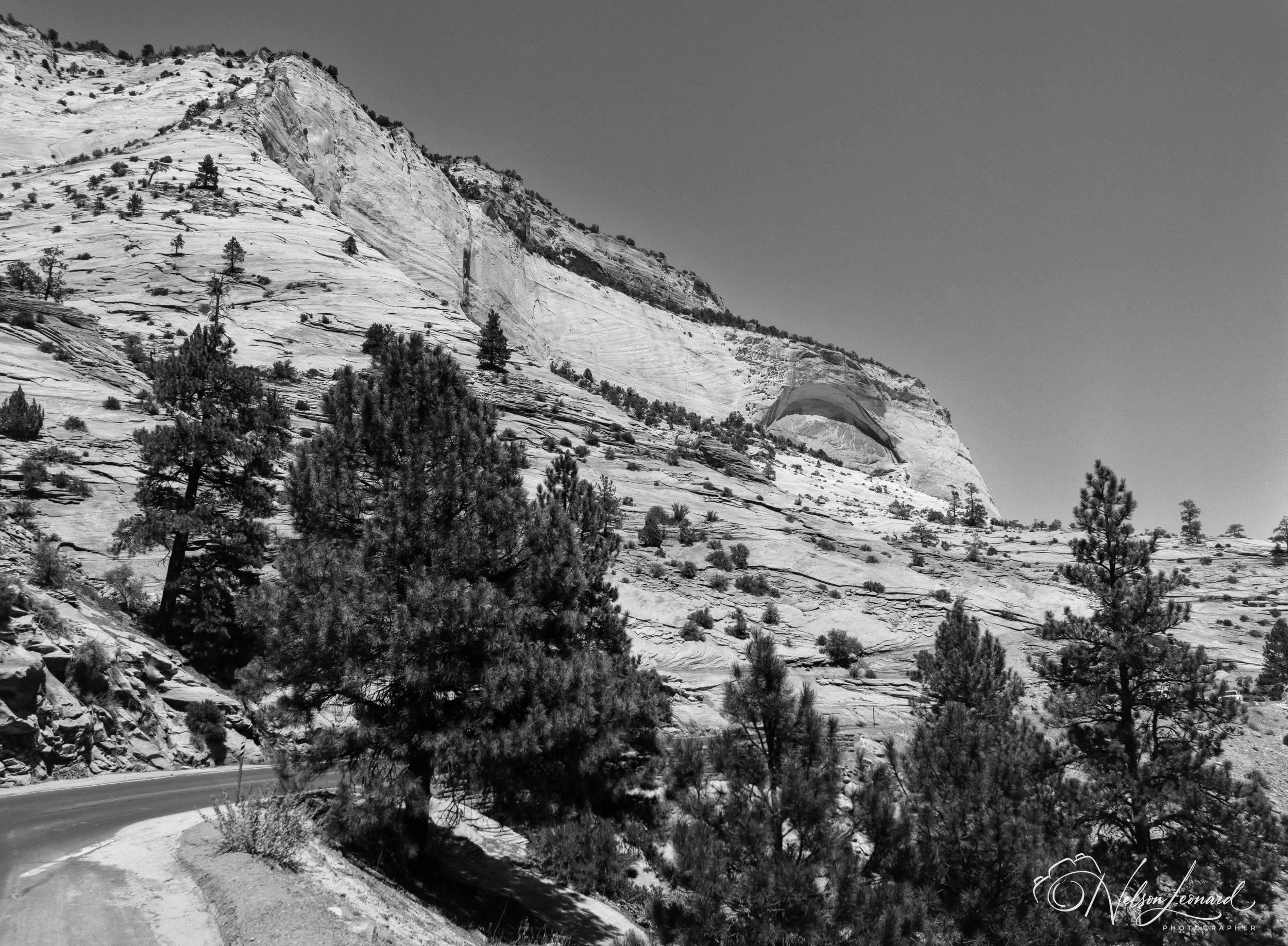 Zion NP 120PanF-112.jpg