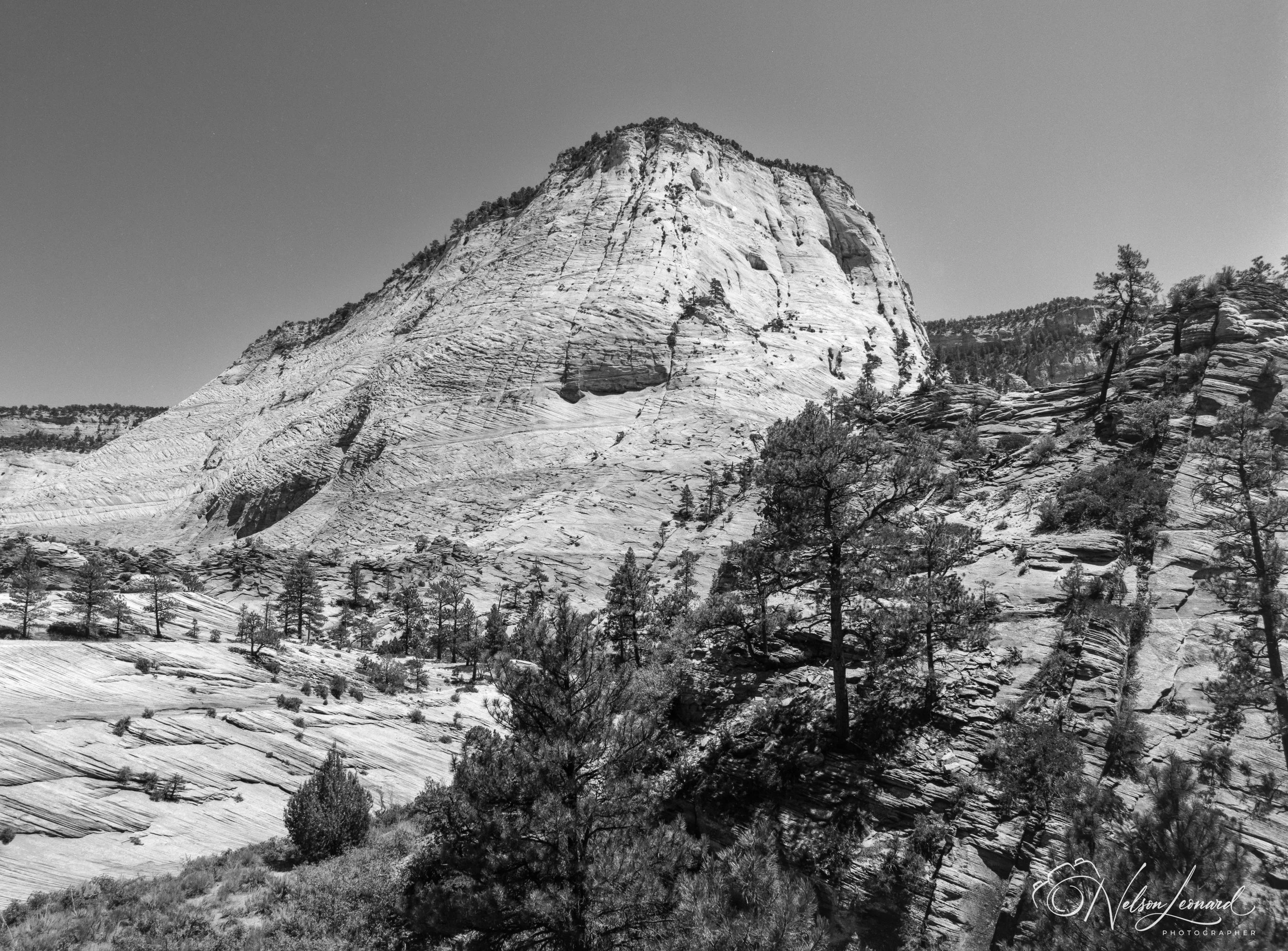 Zion NP 120PanF-111.jpg