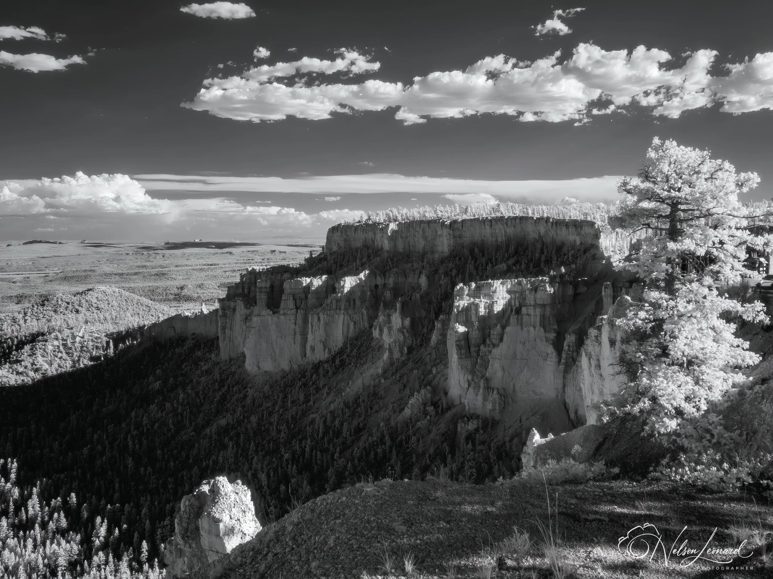 Bryce Canyon Infrared-118.jpg