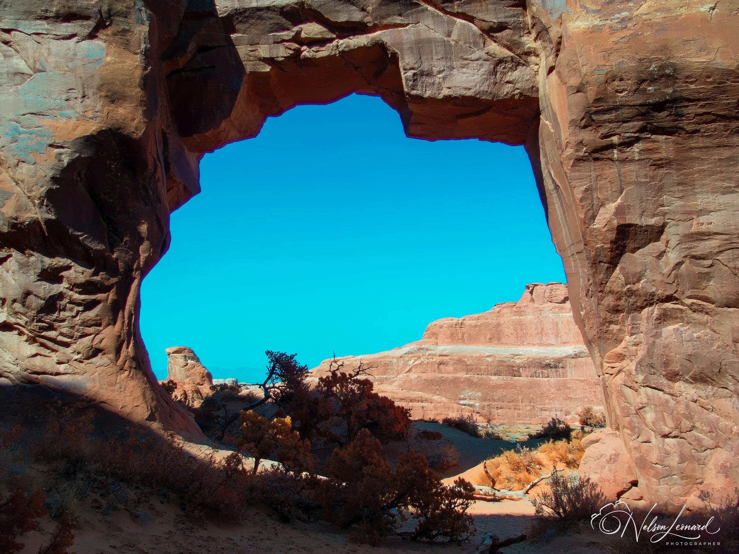 Arches NP Infrared-101.jpg