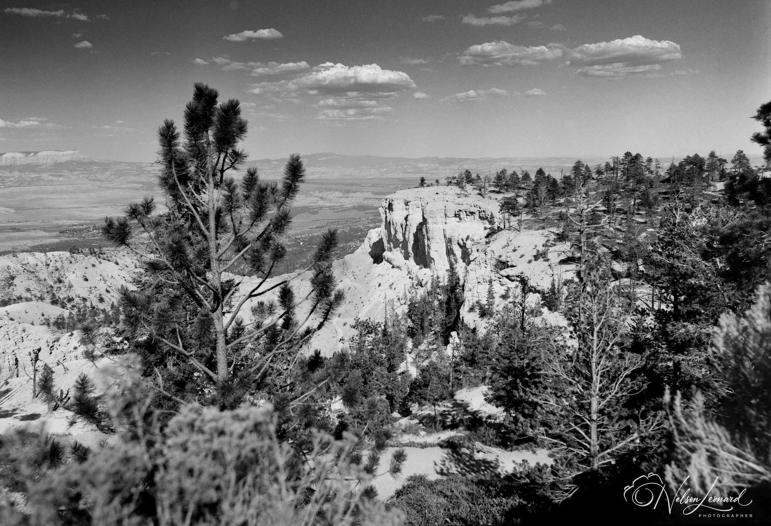 Bryce Canyon 120PanF-102.jpg