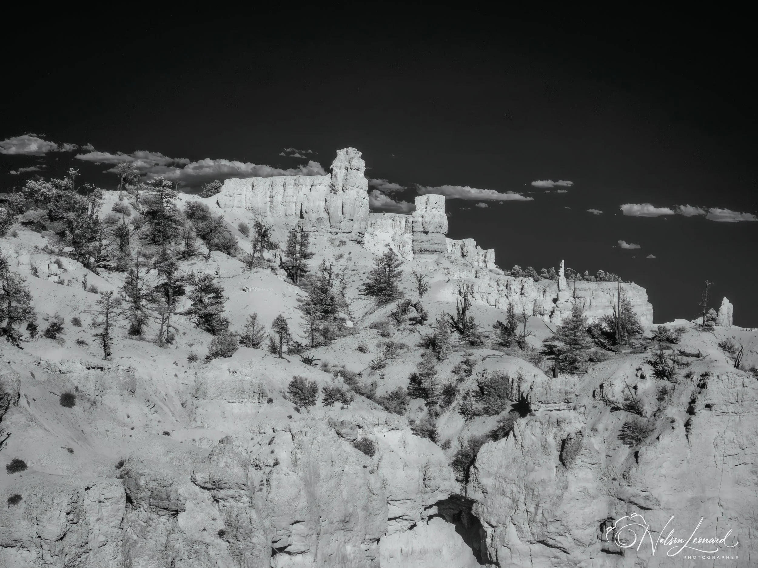 Bryce Canyon Infrared-113.jpg