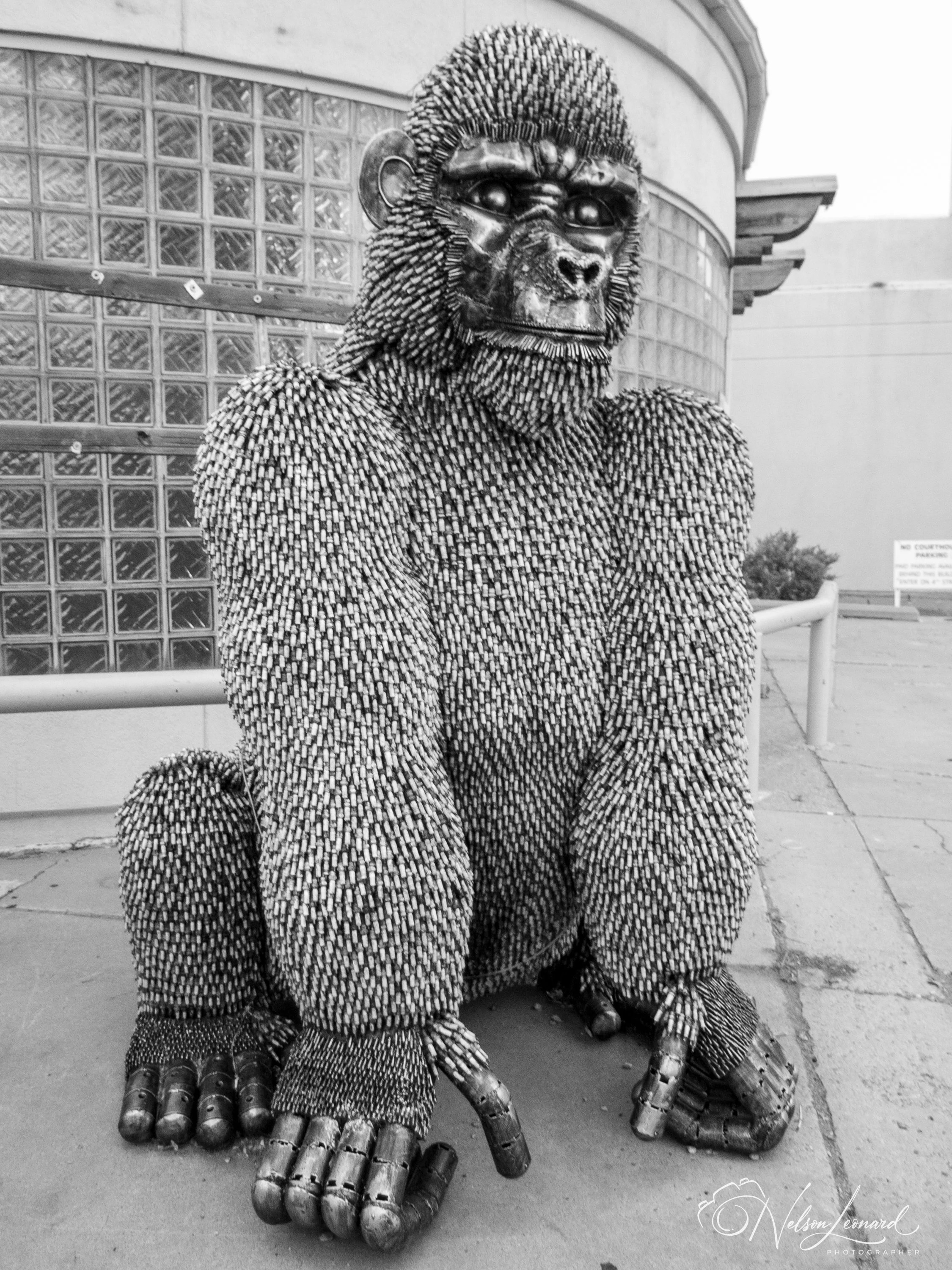 Rt66 Infrared-168.jpg