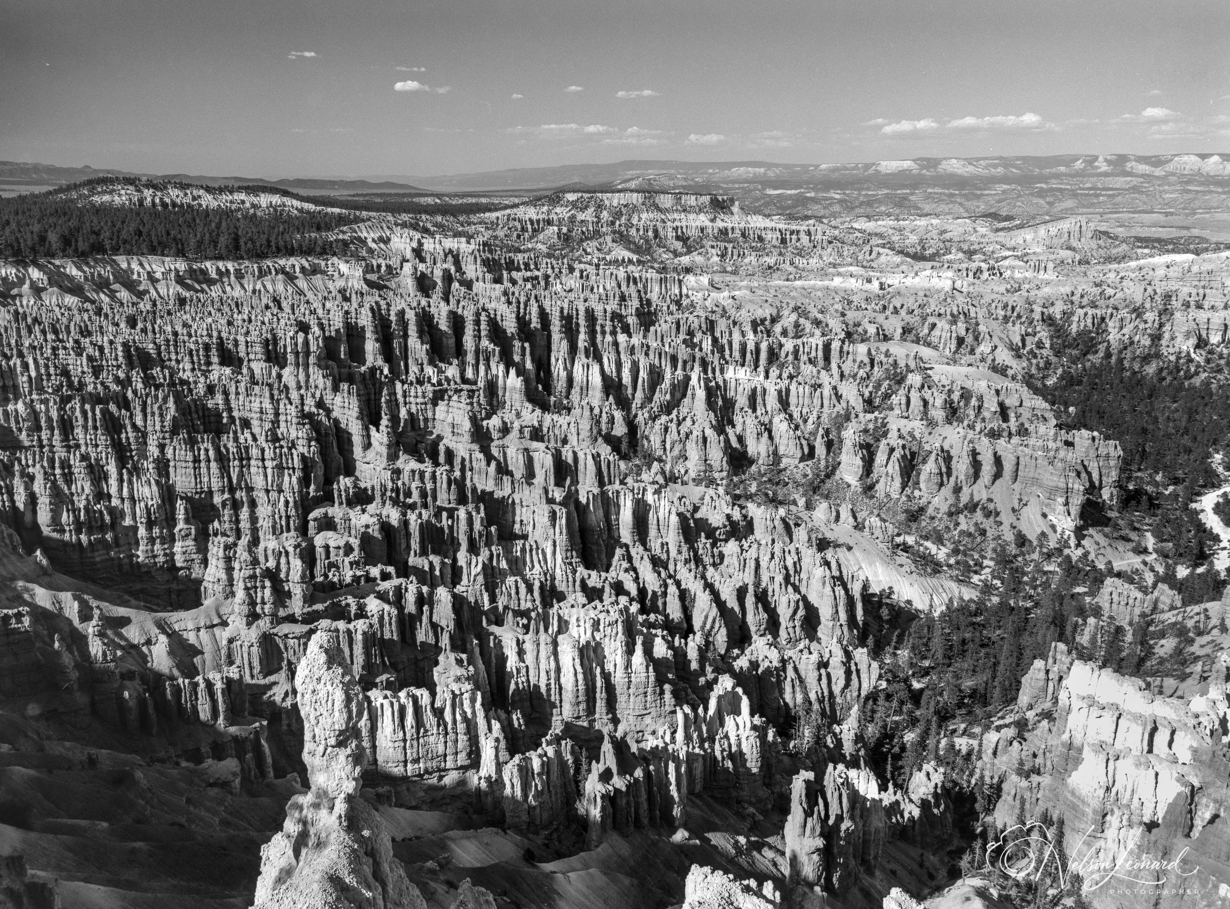 Bryce Canyon 120PanF-111.jpg