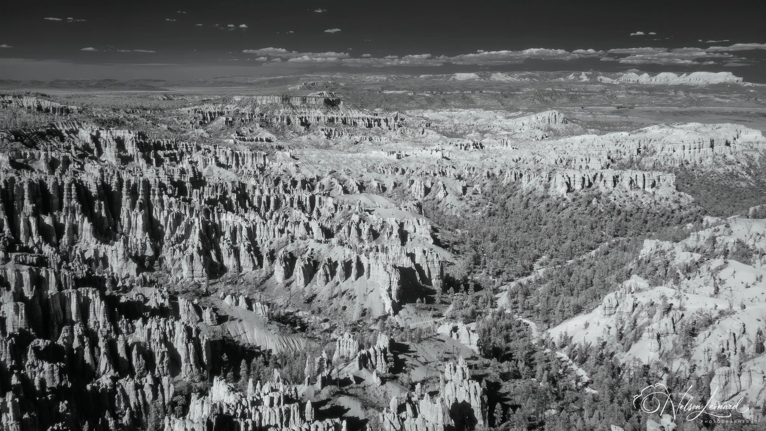 Bryce Canyon Infrared-110.jpg
