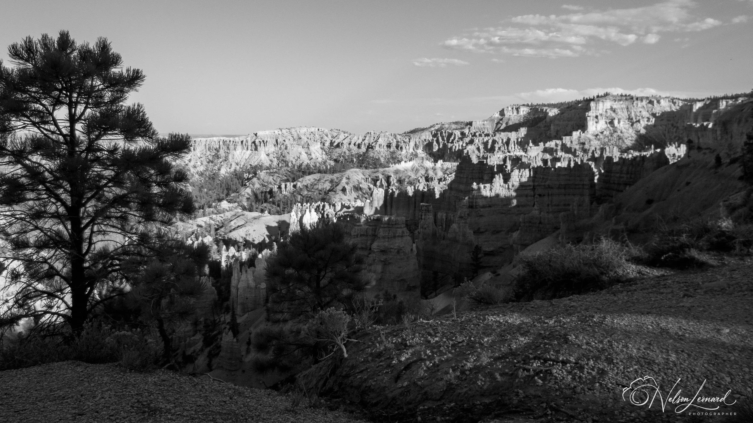 Bryce Canyon Infrared-133.jpg
