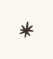 Black Star on Milk background image