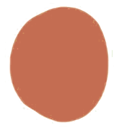 Brown oval-shaped object on a black background